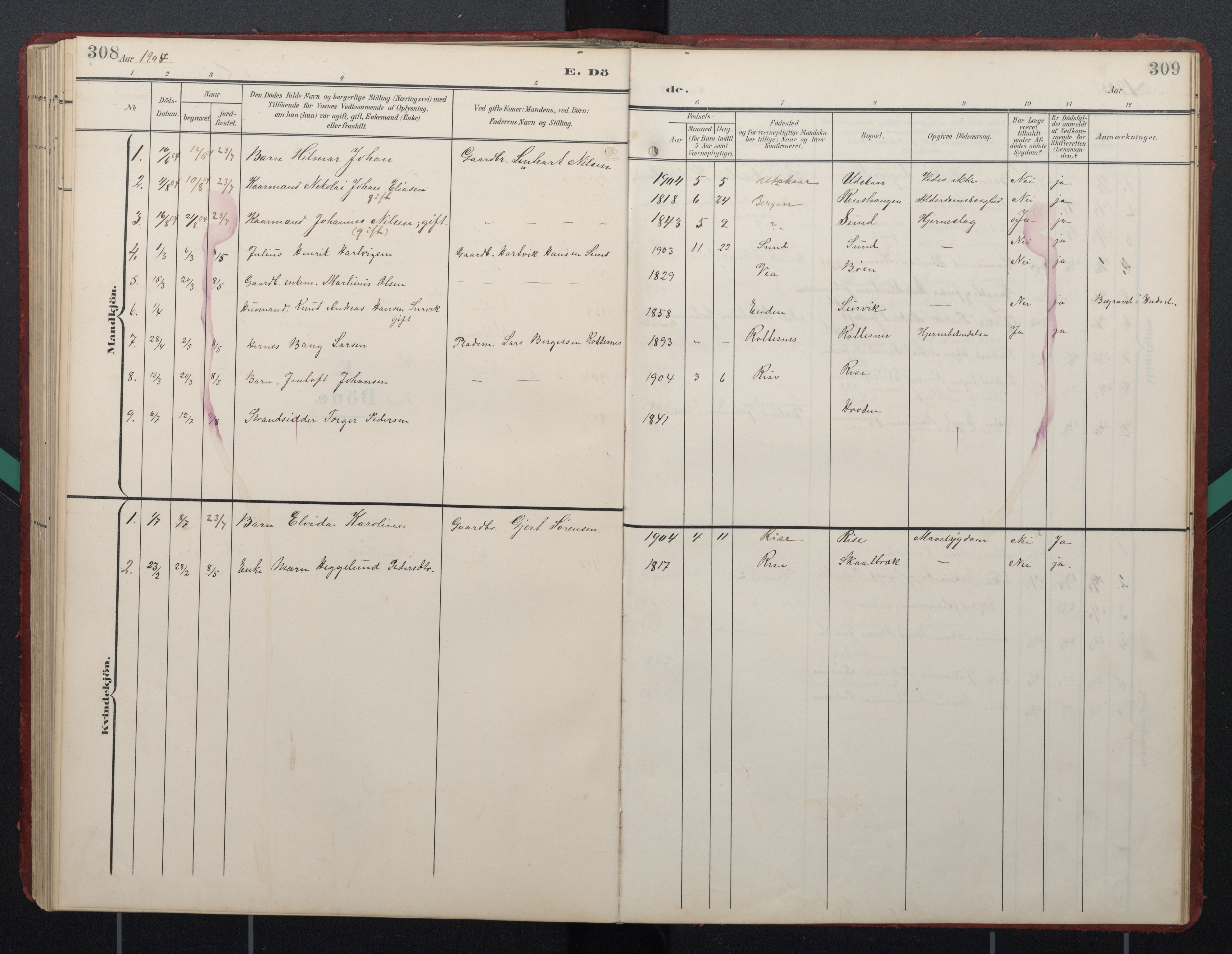 Ministerialprotokoller, klokkerbøker og fødselsregistre - Nordland, AV/SAT-A-1459/892/L1322: Ministerialbok nr. 892A03, 1904-1921, s. 308-309