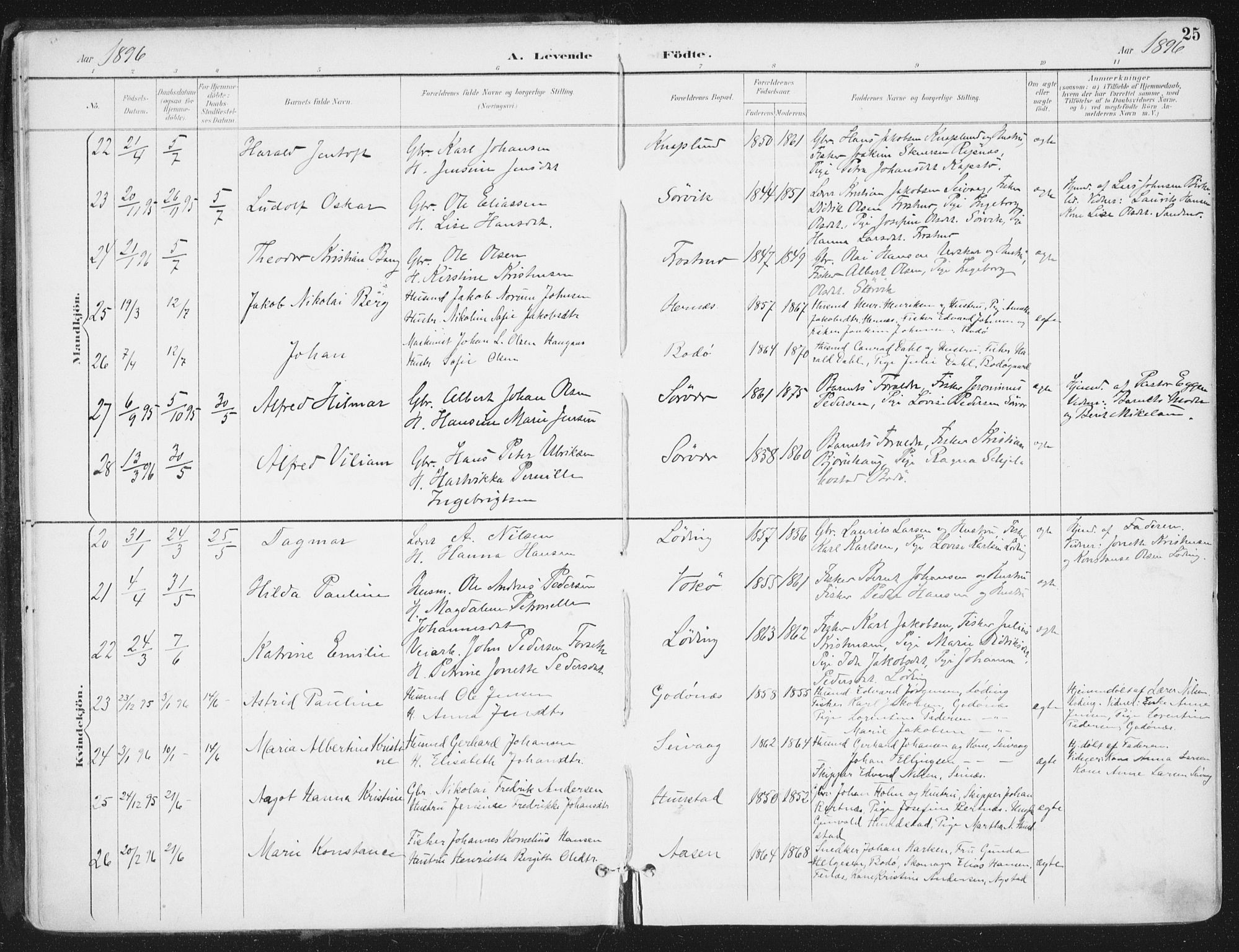 Ministerialprotokoller, klokkerbøker og fødselsregistre - Nordland, AV/SAT-A-1459/802/L0055: Ministerialbok nr. 802A02, 1894-1915, s. 25