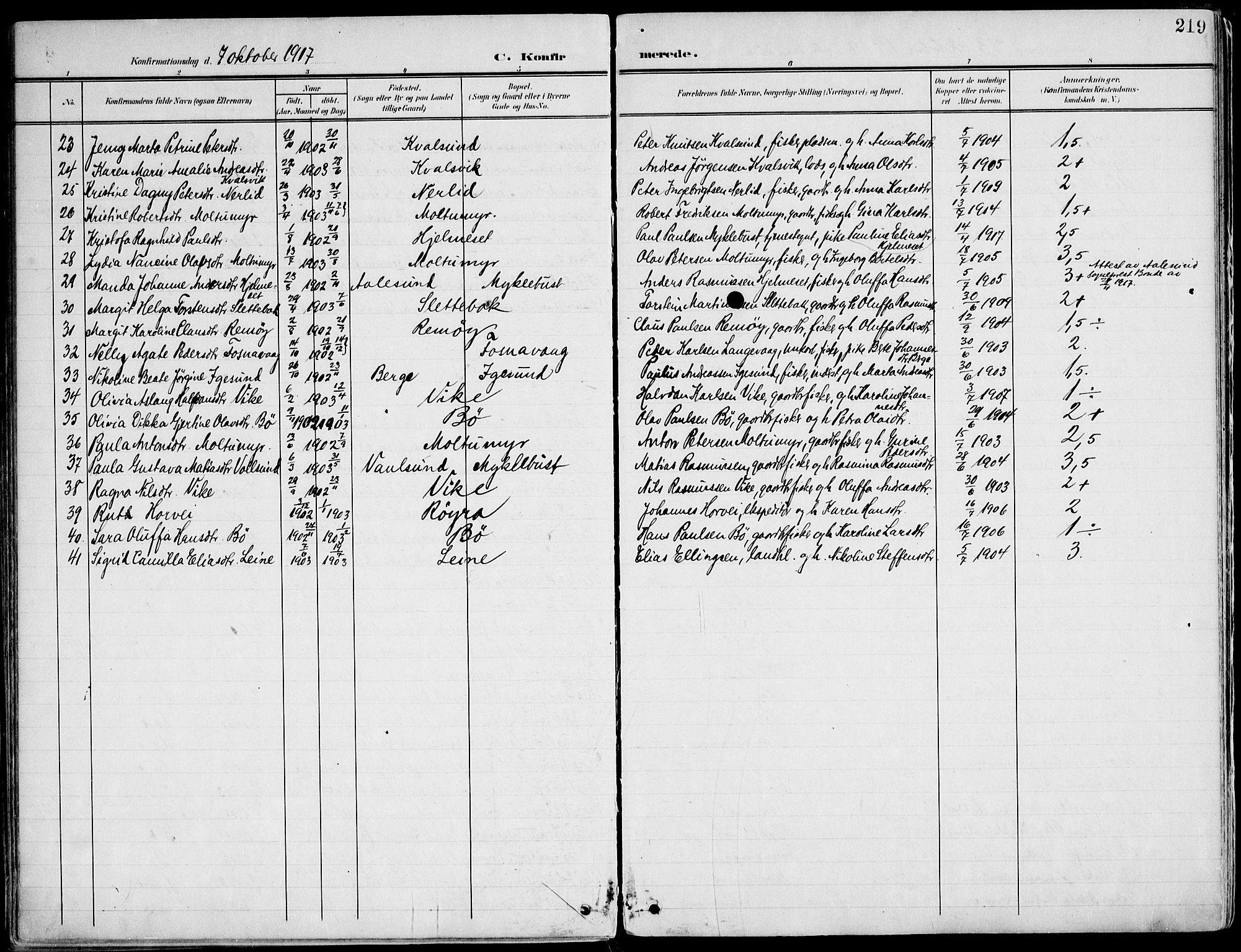 Ministerialprotokoller, klokkerbøker og fødselsregistre - Møre og Romsdal, AV/SAT-A-1454/507/L0075: Ministerialbok nr. 507A10, 1901-1920, s. 219