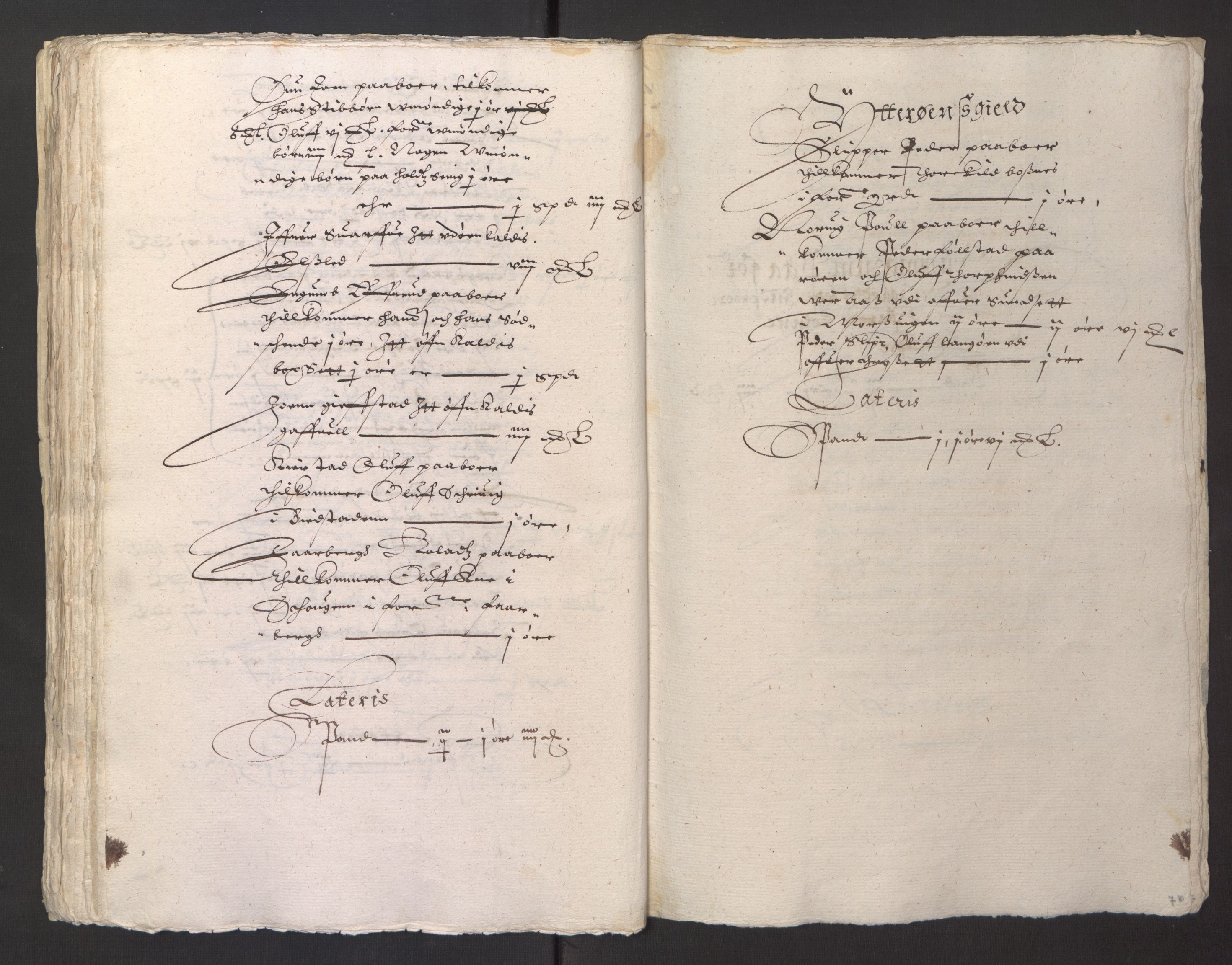 Stattholderembetet 1572-1771, RA/EA-2870/Ek/L0013/0001: Jordebøker til utlikning av rosstjeneste 1624-1626: / Odelsjordebøker for Trondheim len, 1624-1625, s. 79