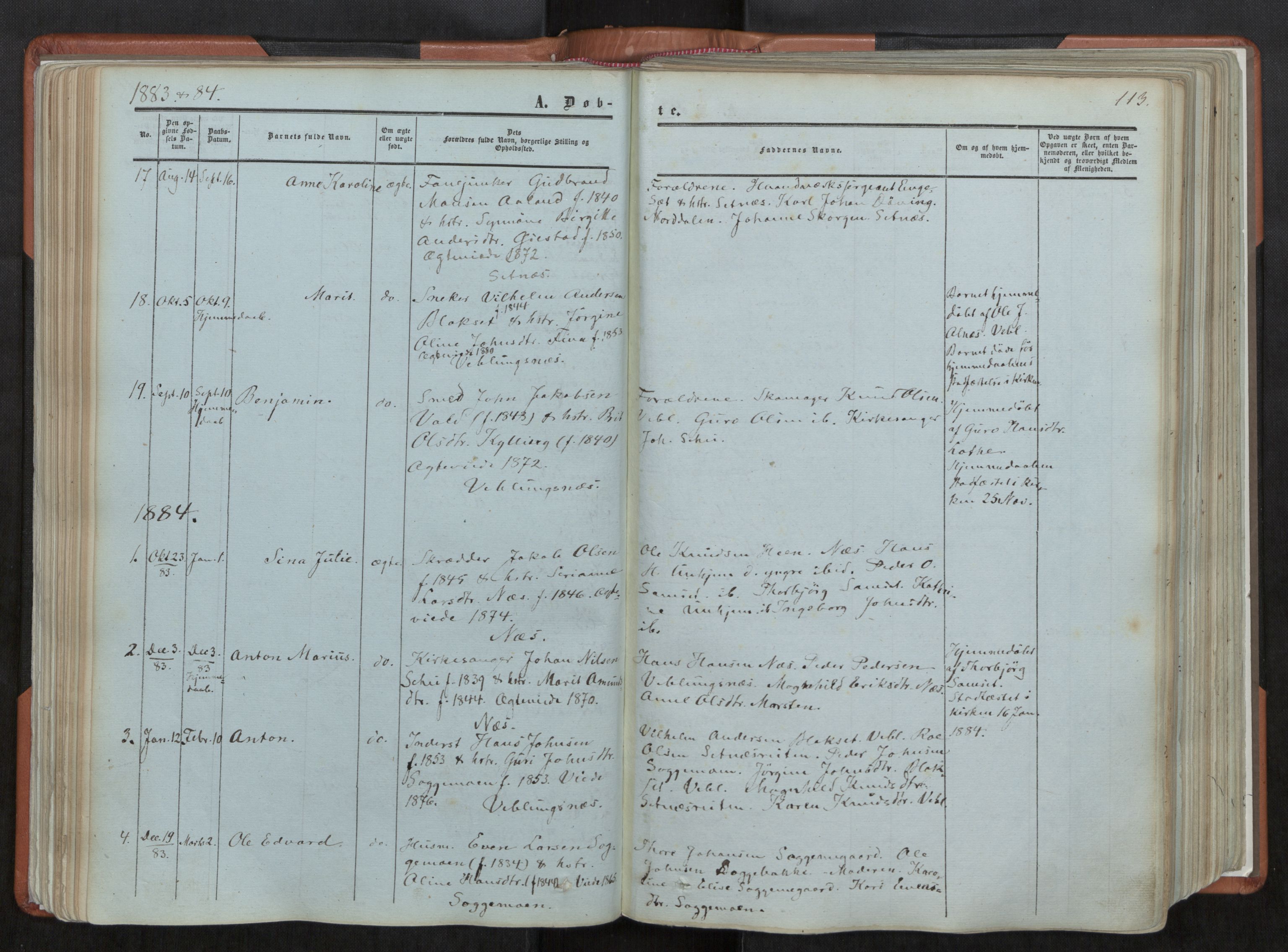 Ministerialprotokoller, klokkerbøker og fødselsregistre - Møre og Romsdal, AV/SAT-A-1454/544/L0572: Ministerialbok nr. 544A05, 1854-1886, s. 113