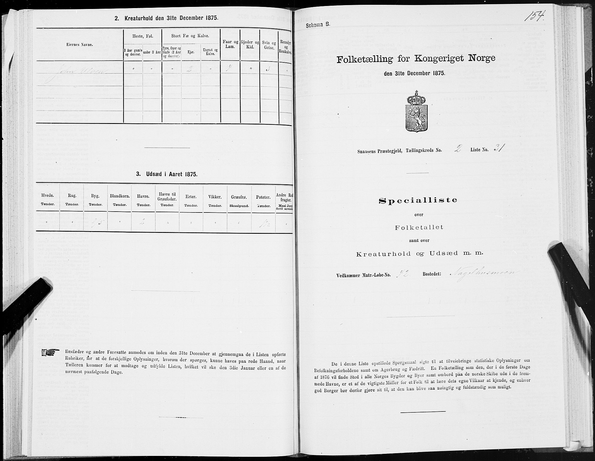 SAT, Folketelling 1875 for 1736P Snåsa prestegjeld, 1875, s. 1154