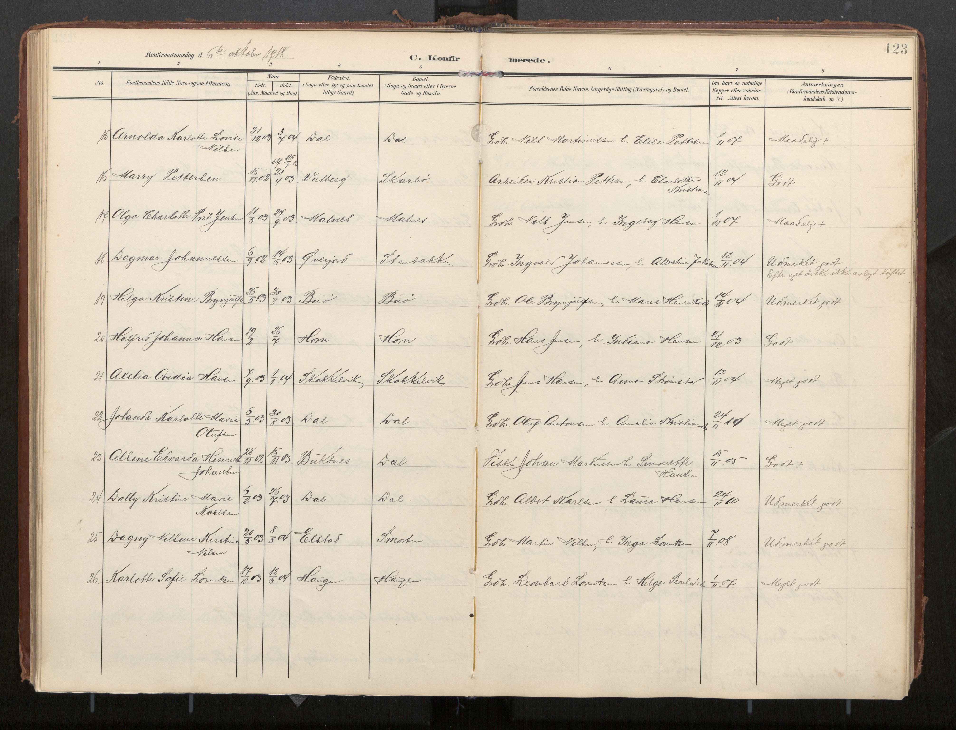 Ministerialprotokoller, klokkerbøker og fødselsregistre - Nordland, AV/SAT-A-1459/884/L1194: Ministerialbok nr. 884A02, 1906-1937, s. 123