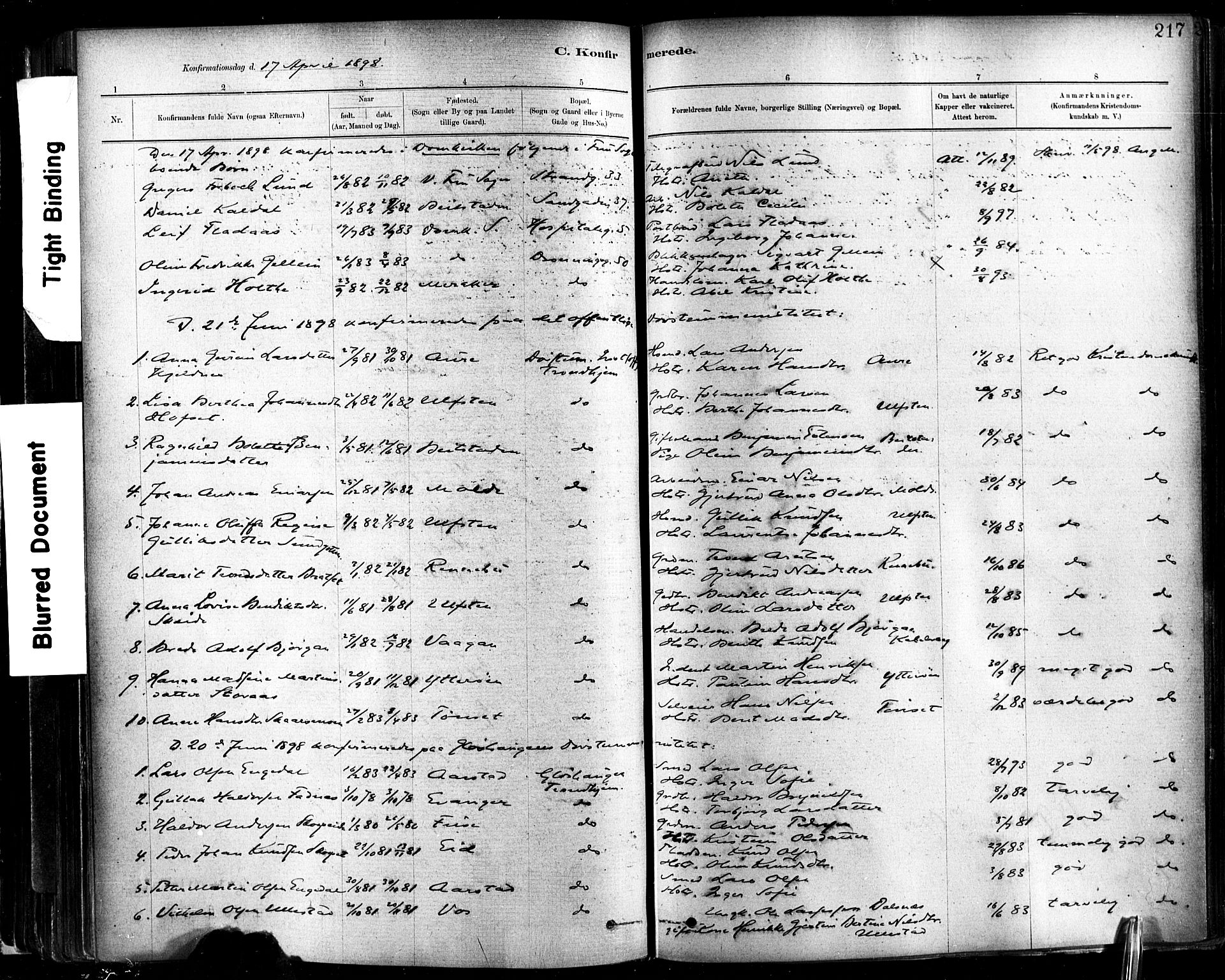 Ministerialprotokoller, klokkerbøker og fødselsregistre - Sør-Trøndelag, SAT/A-1456/602/L0119: Ministerialbok nr. 602A17, 1880-1901, s. 217