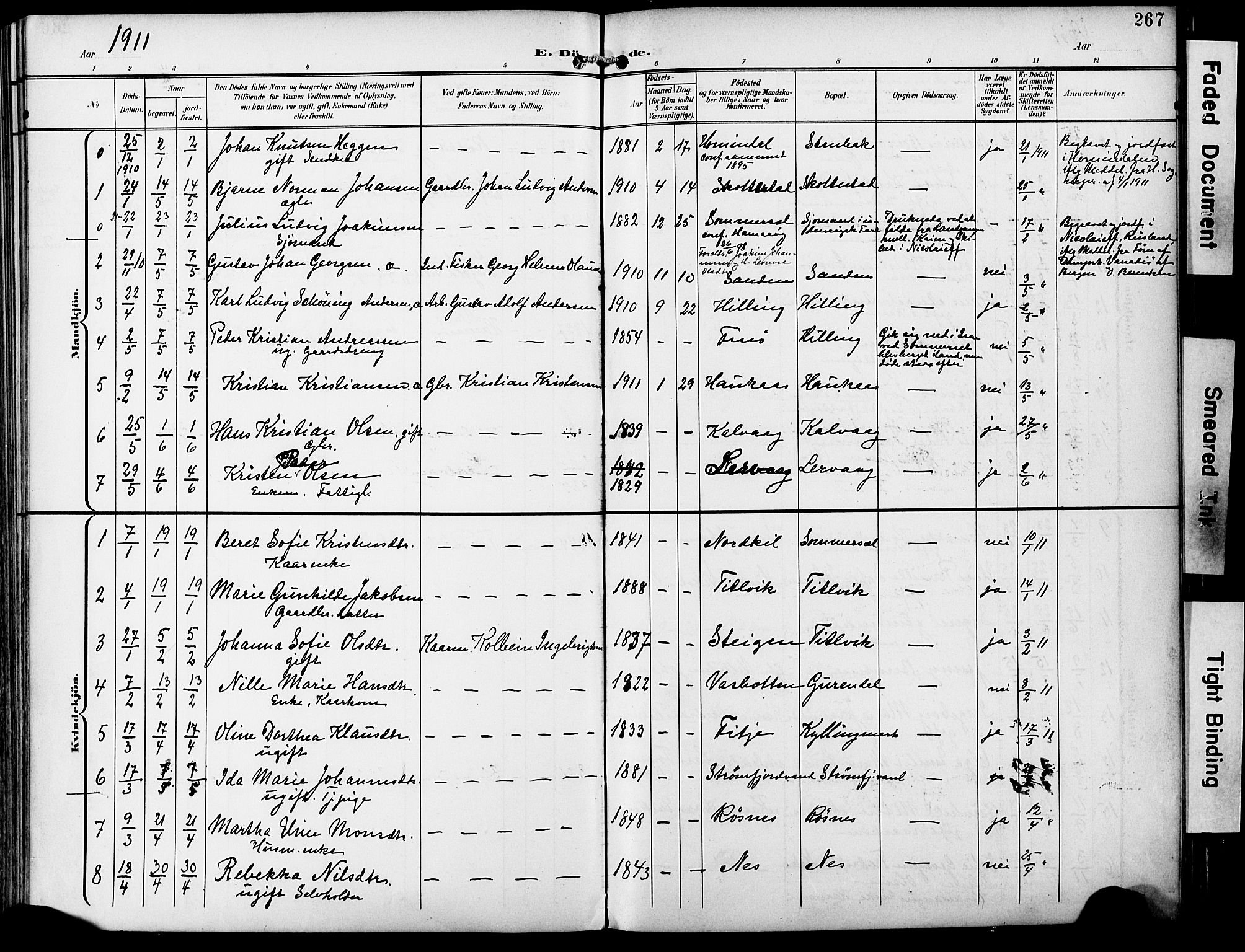 Ministerialprotokoller, klokkerbøker og fødselsregistre - Nordland, SAT/A-1459/859/L0848: Ministerialbok nr. 859A08, 1900-1912, s. 267