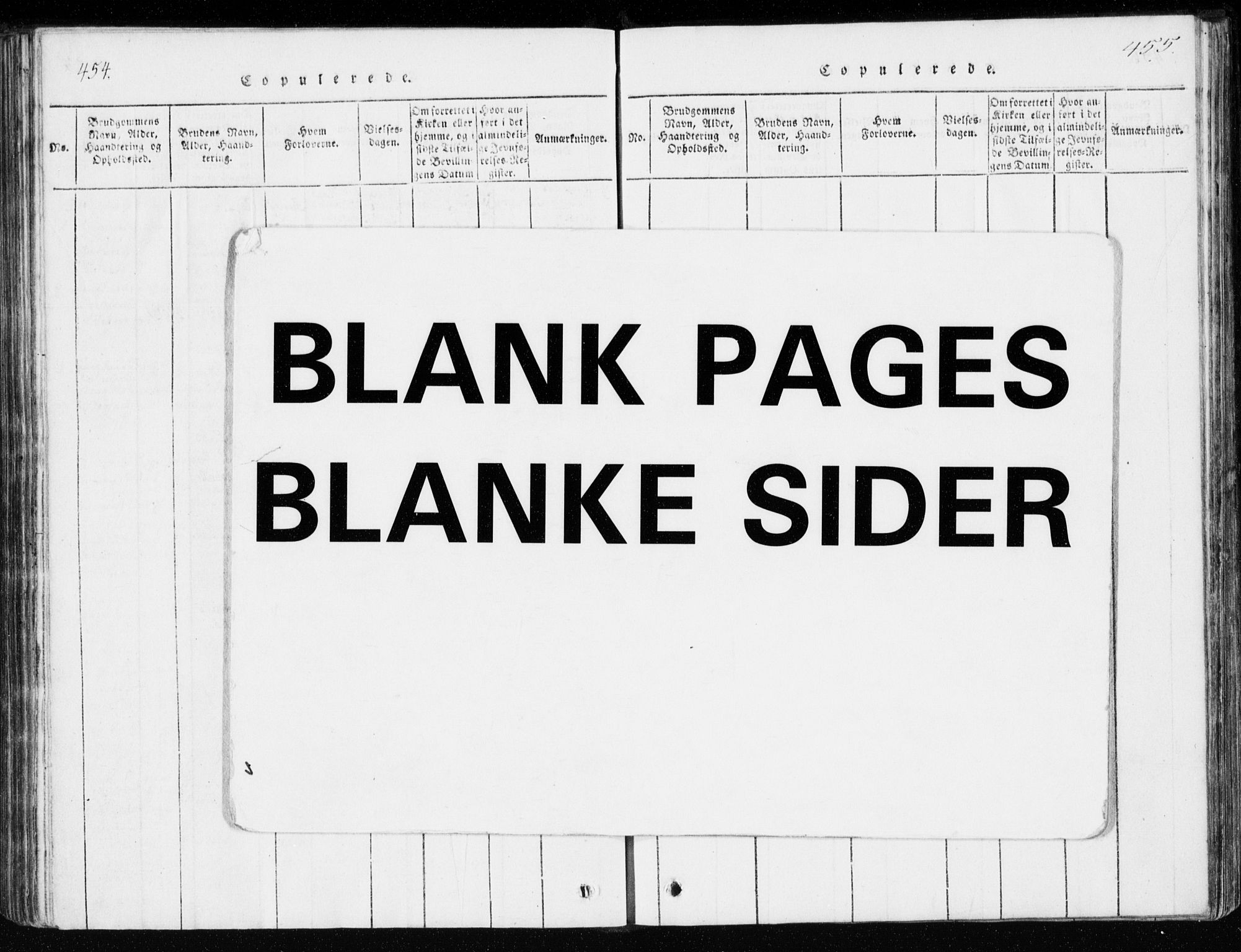 Ministerialprotokoller, klokkerbøker og fødselsregistre - Møre og Romsdal, AV/SAT-A-1454/551/L0623: Ministerialbok nr. 551A03, 1818-1831, s. 454-455