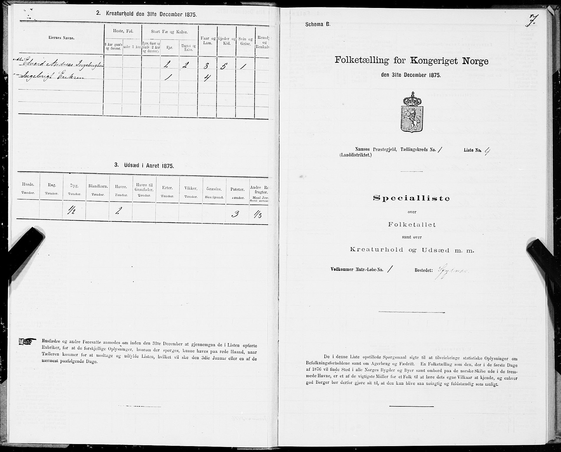 SAT, Folketelling 1875 for 1745L Namsos prestegjeld, Vemundvik sokn og Sævik sokn, 1875, s. 1007