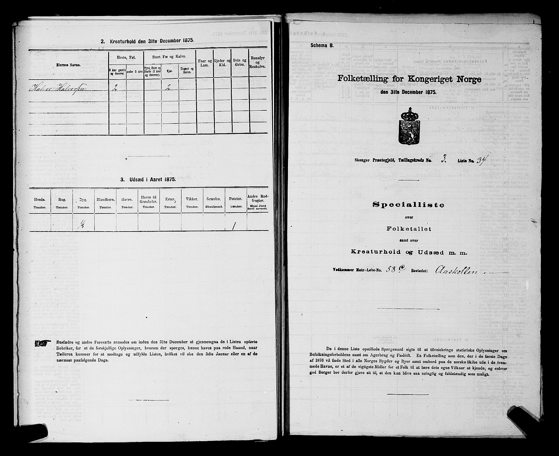 SAKO, Folketelling 1875 for 0712P Skoger prestegjeld, 1875, s. 393