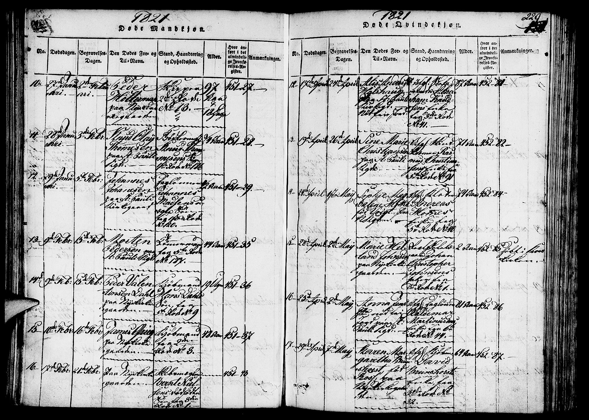 Nykirken Sokneprestembete, AV/SAB-A-77101/H/Hab/L0003: Klokkerbok nr. A 4, 1816-1821, s. 229