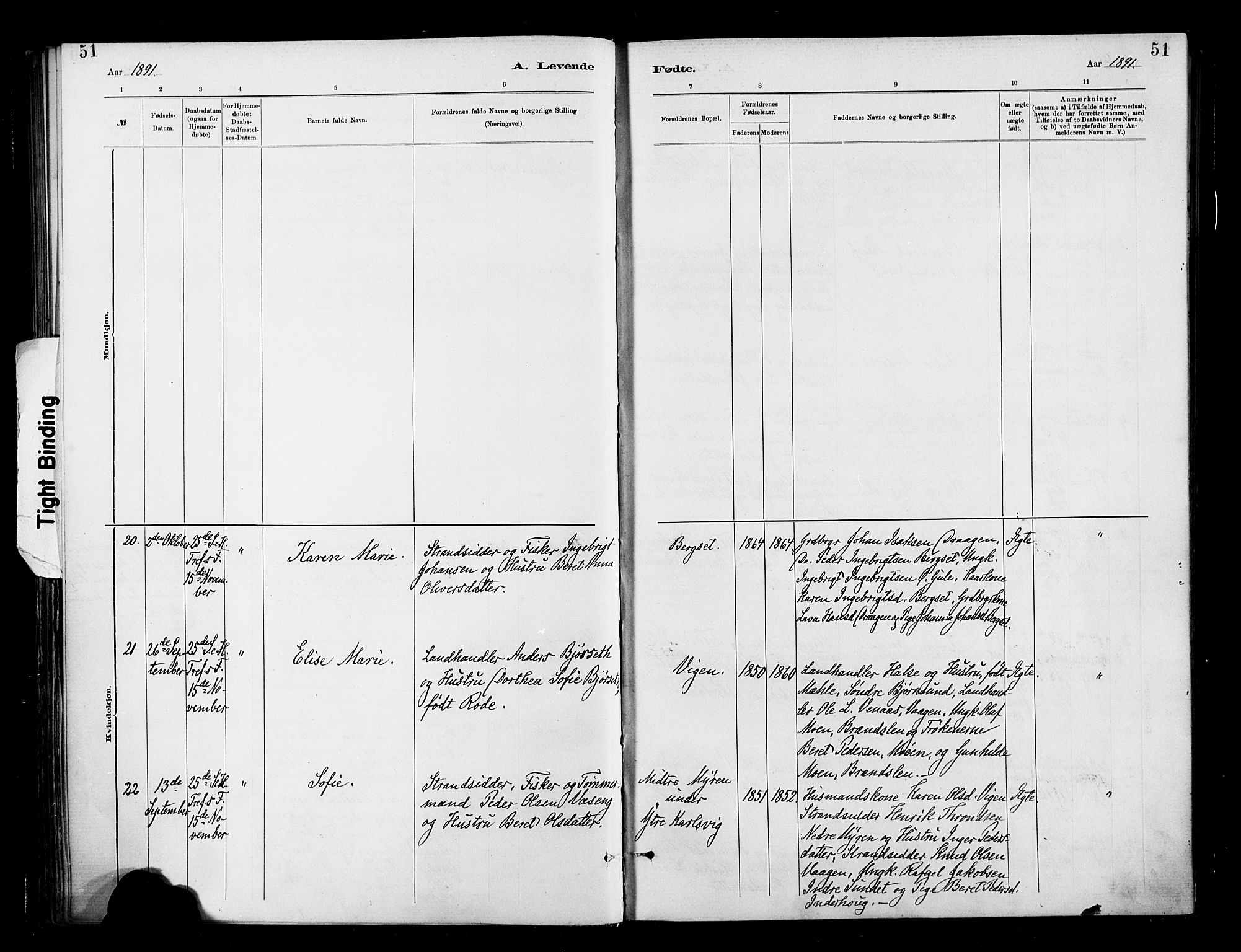 Ministerialprotokoller, klokkerbøker og fødselsregistre - Møre og Romsdal, AV/SAT-A-1454/566/L0769: Ministerialbok nr. 566A08, 1881-1903, s. 51