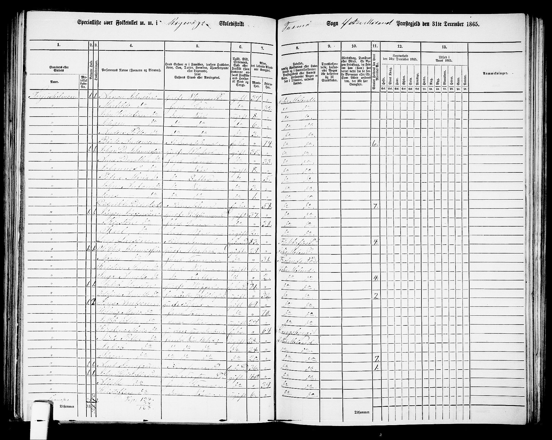 RA, Folketelling 1865 for 0918P Austre Moland prestegjeld, 1865, s. 236