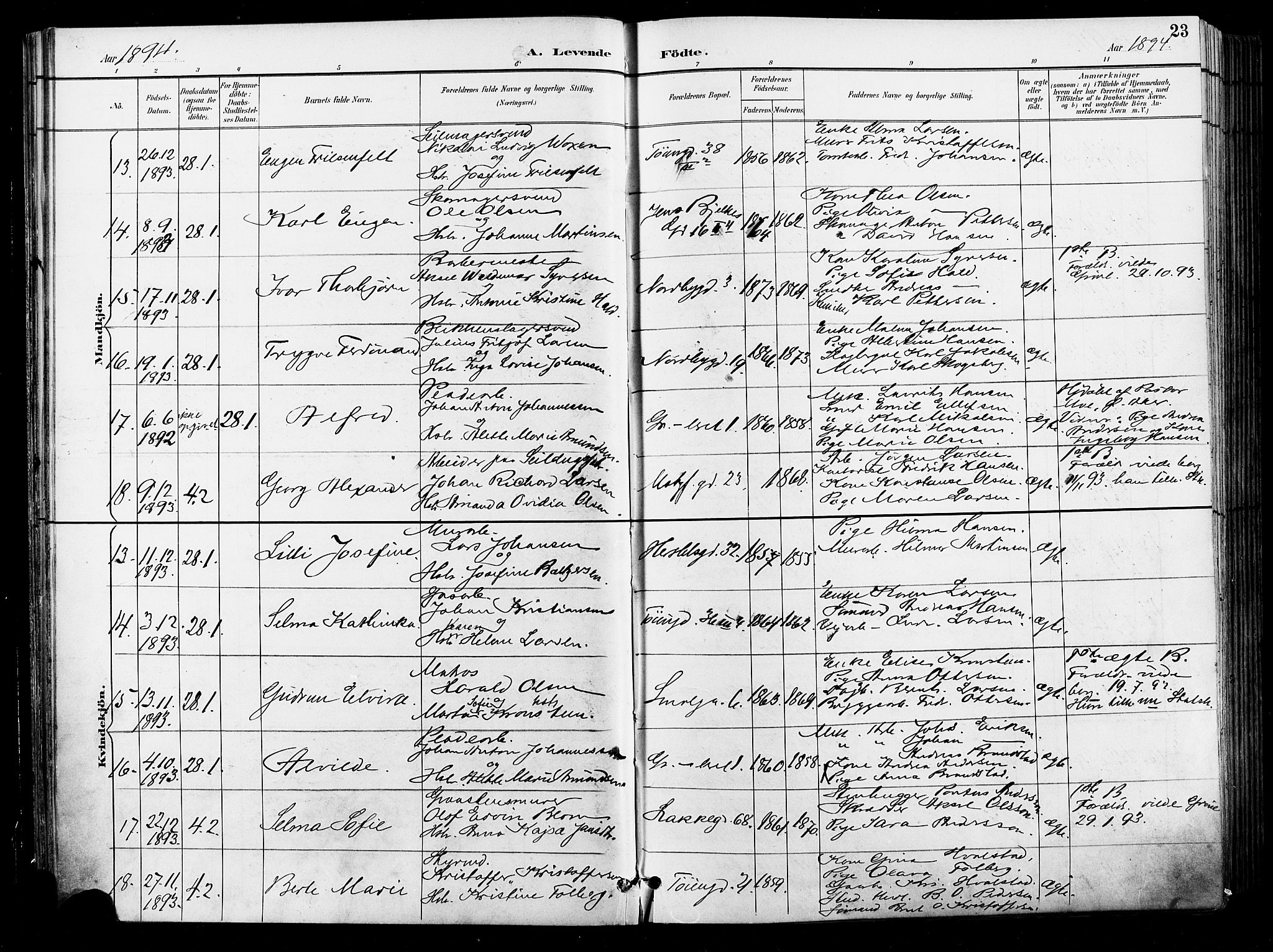 Grønland prestekontor Kirkebøker, AV/SAO-A-10848/F/Fa/L0012: Ministerialbok nr. 12, 1893-1900, s. 23