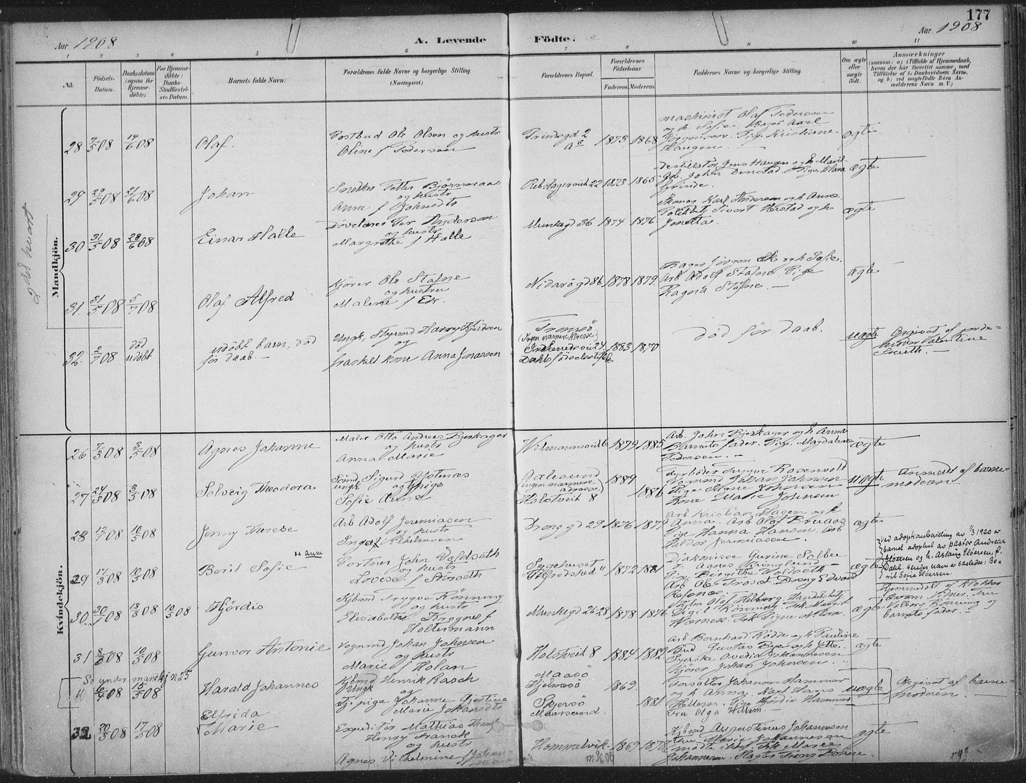 Ministerialprotokoller, klokkerbøker og fødselsregistre - Sør-Trøndelag, SAT/A-1456/601/L0062: Ministerialbok nr. 601A30, 1891-1911, s. 177