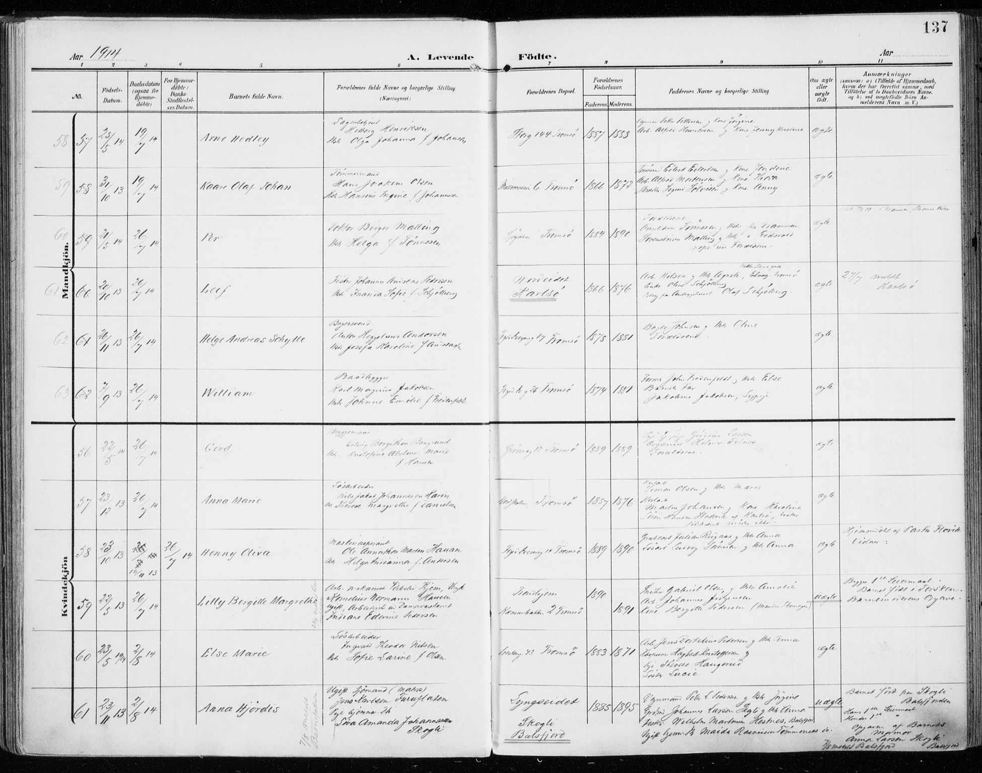 Tromsø sokneprestkontor/stiftsprosti/domprosti, AV/SATØ-S-1343/G/Ga/L0017kirke: Ministerialbok nr. 17, 1907-1917, s. 137
