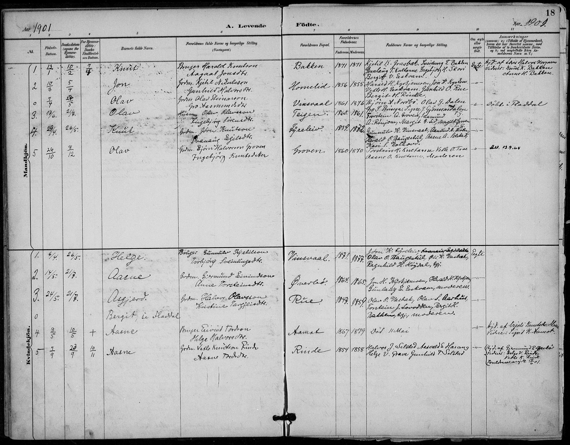 Seljord kirkebøker, AV/SAKO-A-20/F/Fc/L0002: Ministerialbok nr. III 2, 1887-1920, s. 18