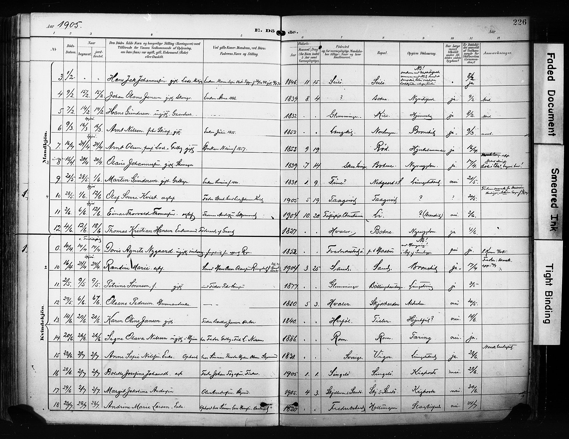 Hvaler prestekontor Kirkebøker, AV/SAO-A-2001/F/Fa/L0009: Ministerialbok nr. I 9, 1895-1906, s. 226