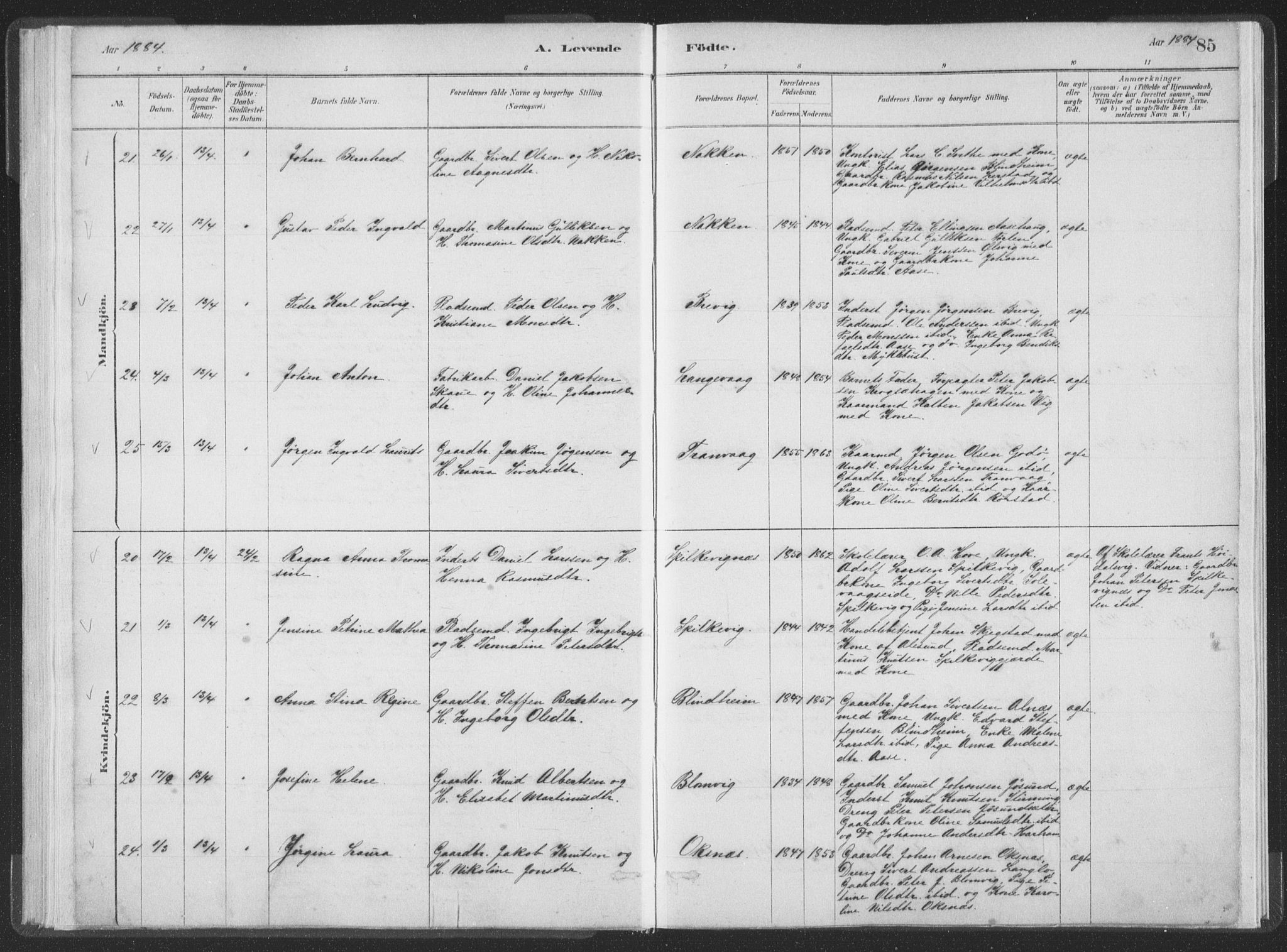 Ministerialprotokoller, klokkerbøker og fødselsregistre - Møre og Romsdal, AV/SAT-A-1454/528/L0401: Ministerialbok nr. 528A12I, 1880-1920, s. 85