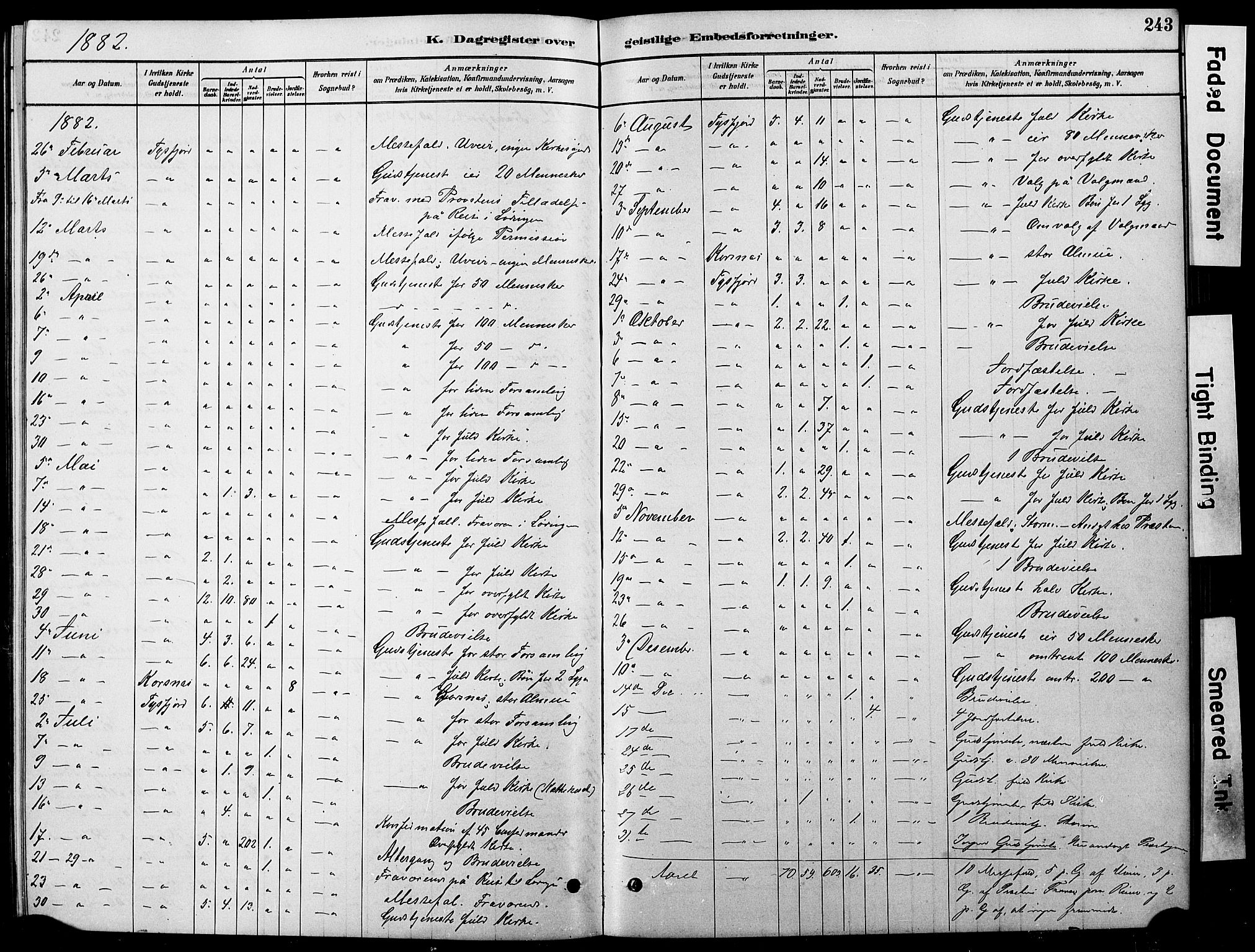 Ministerialprotokoller, klokkerbøker og fødselsregistre - Nordland, AV/SAT-A-1459/861/L0875: Klokkerbok nr. 861C01, 1879-1887, s. 243