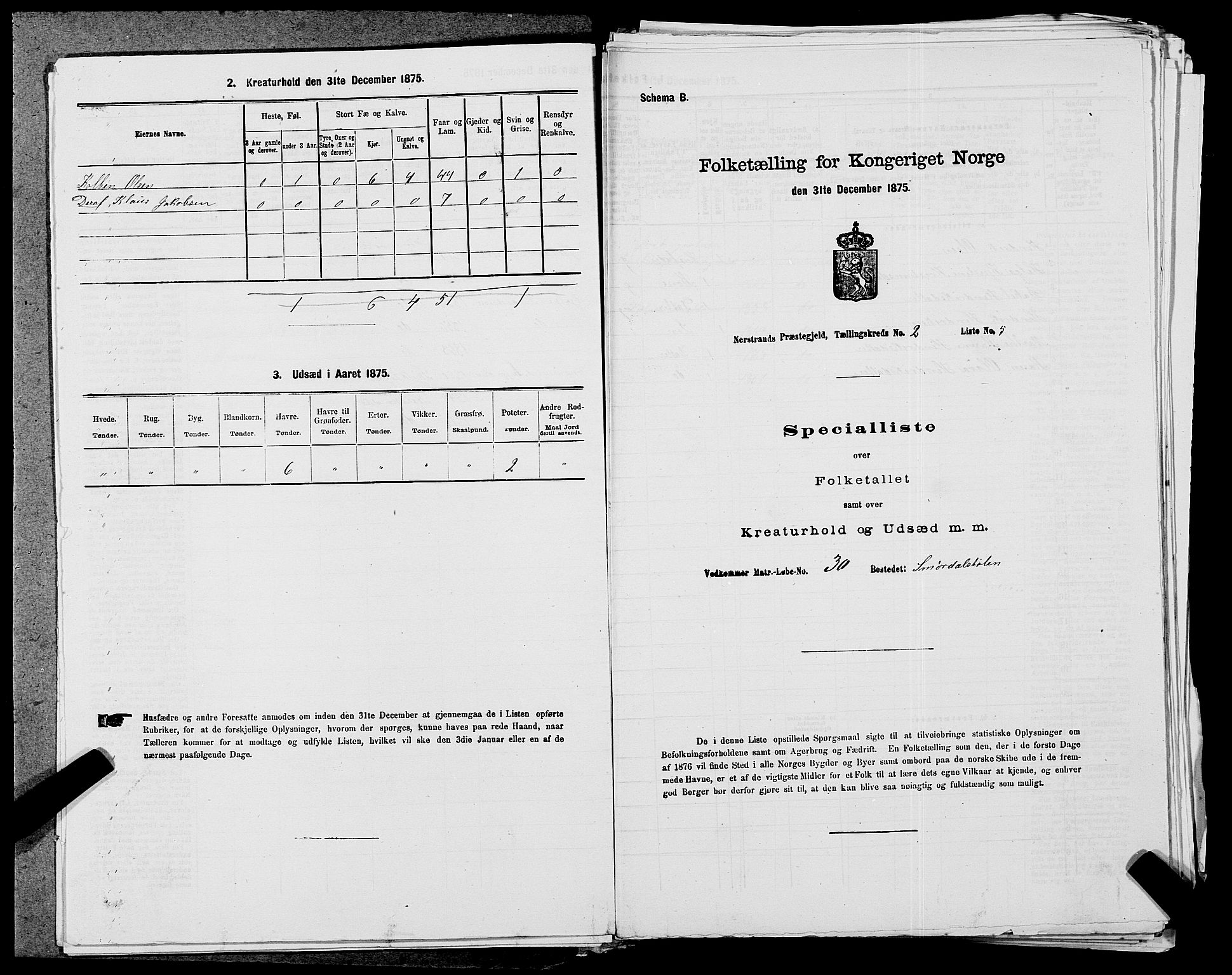 SAST, Folketelling 1875 for 1139P Nedstrand prestegjeld, 1875, s. 557