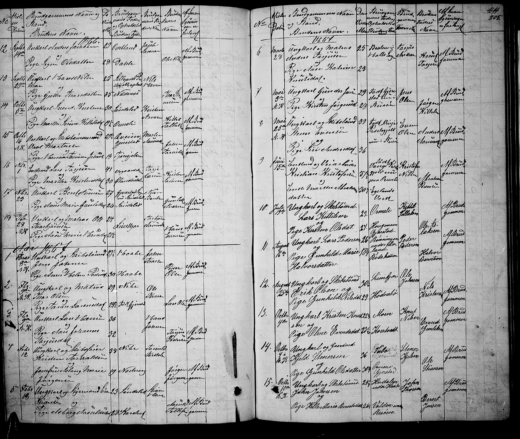 Søndeled sokneprestkontor, AV/SAK-1111-0038/F/Fb/L0004: Klokkerbok nr. B 4, 1857-1884, s. 205