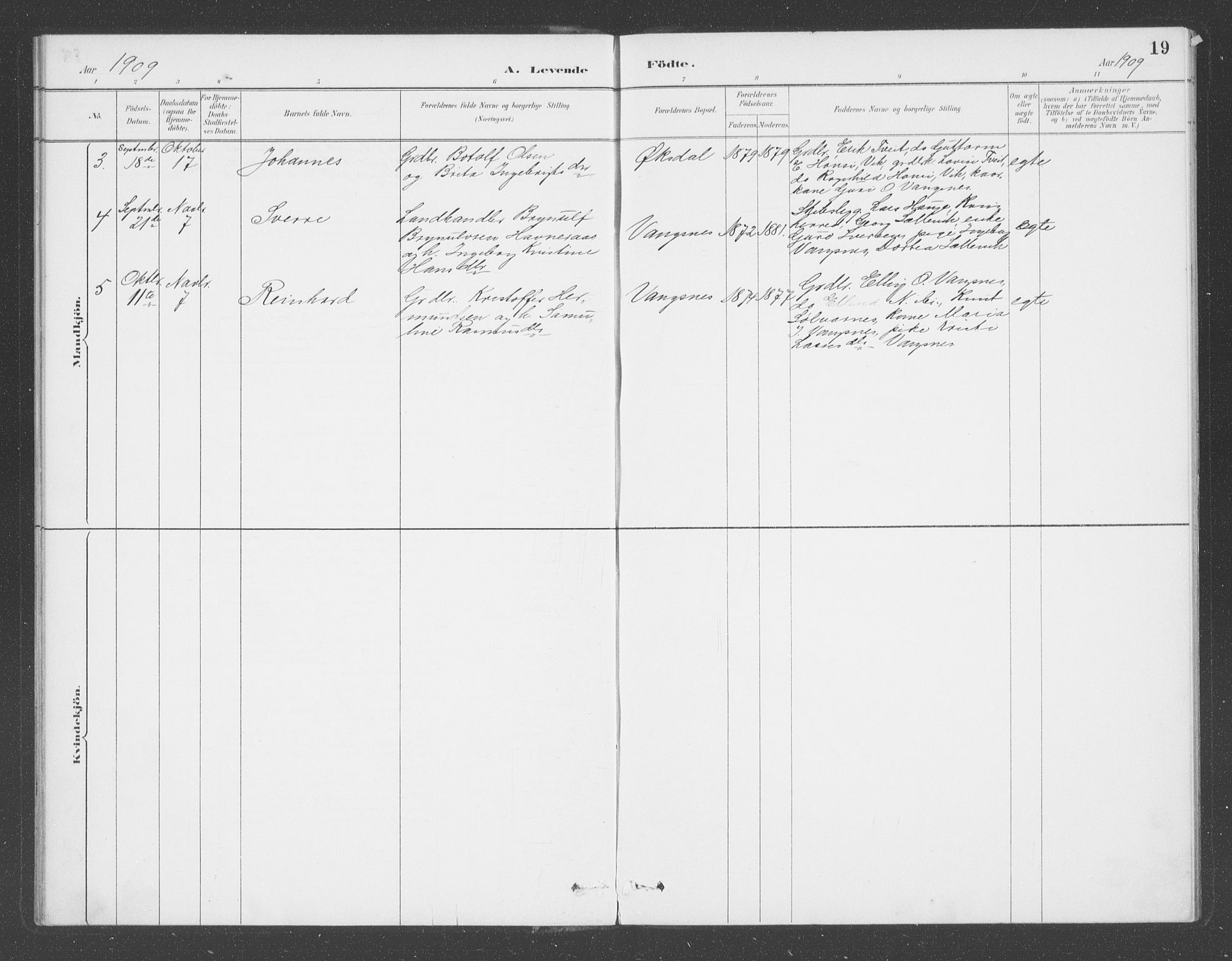 Balestrand sokneprestembete, AV/SAB-A-79601/H/Haa/Haae/L0001: Ministerialbok nr. E  1, 1889-1909, s. 19