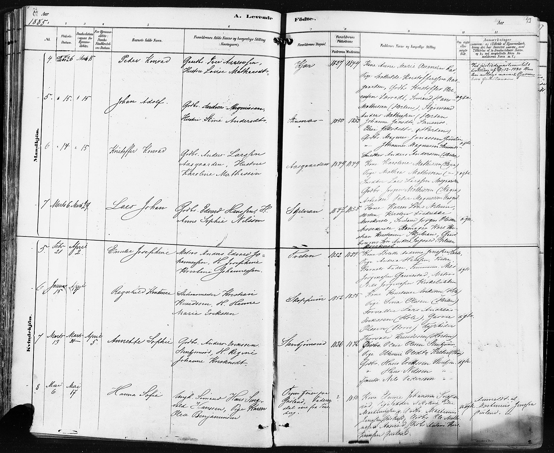 Borre kirkebøker, AV/SAKO-A-338/F/Fa/L0009: Ministerialbok nr. I 9, 1878-1896, s. 43