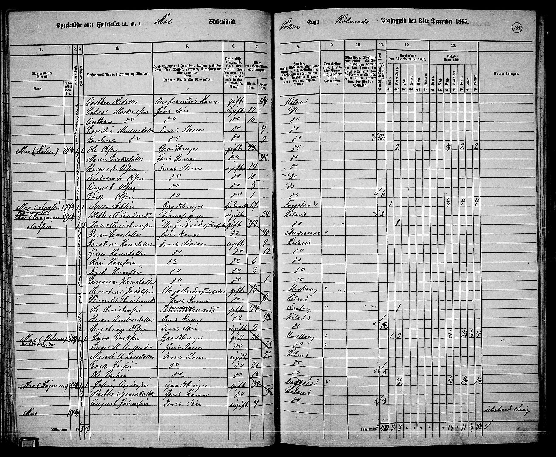 RA, Folketelling 1865 for 0221P Høland prestegjeld, 1865, s. 95