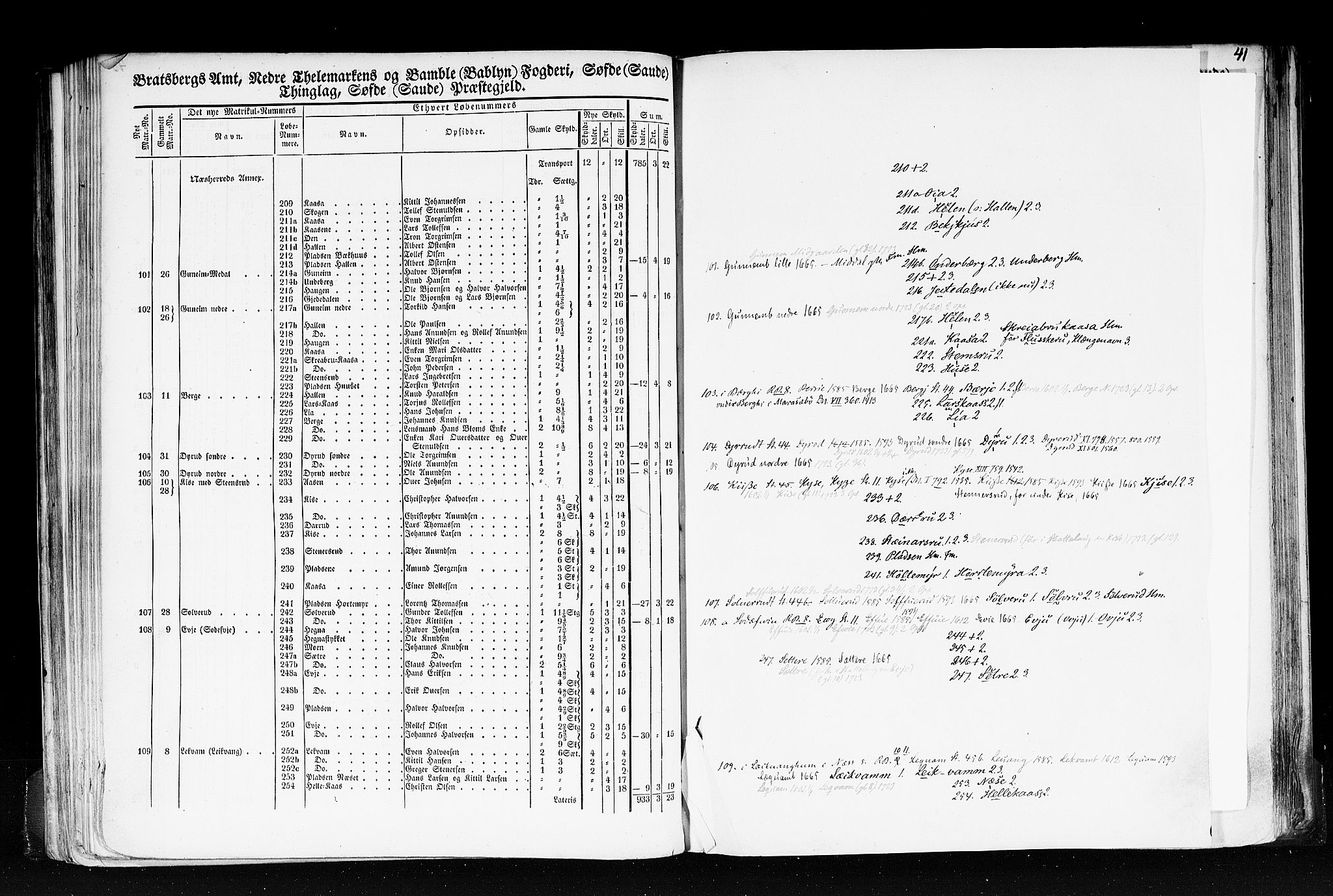 Rygh, AV/RA-PA-0034/F/Fb/L0007: Matrikkelen for 1838 - Bratsberg amt (Telemark fylke), 1838, s. 41a