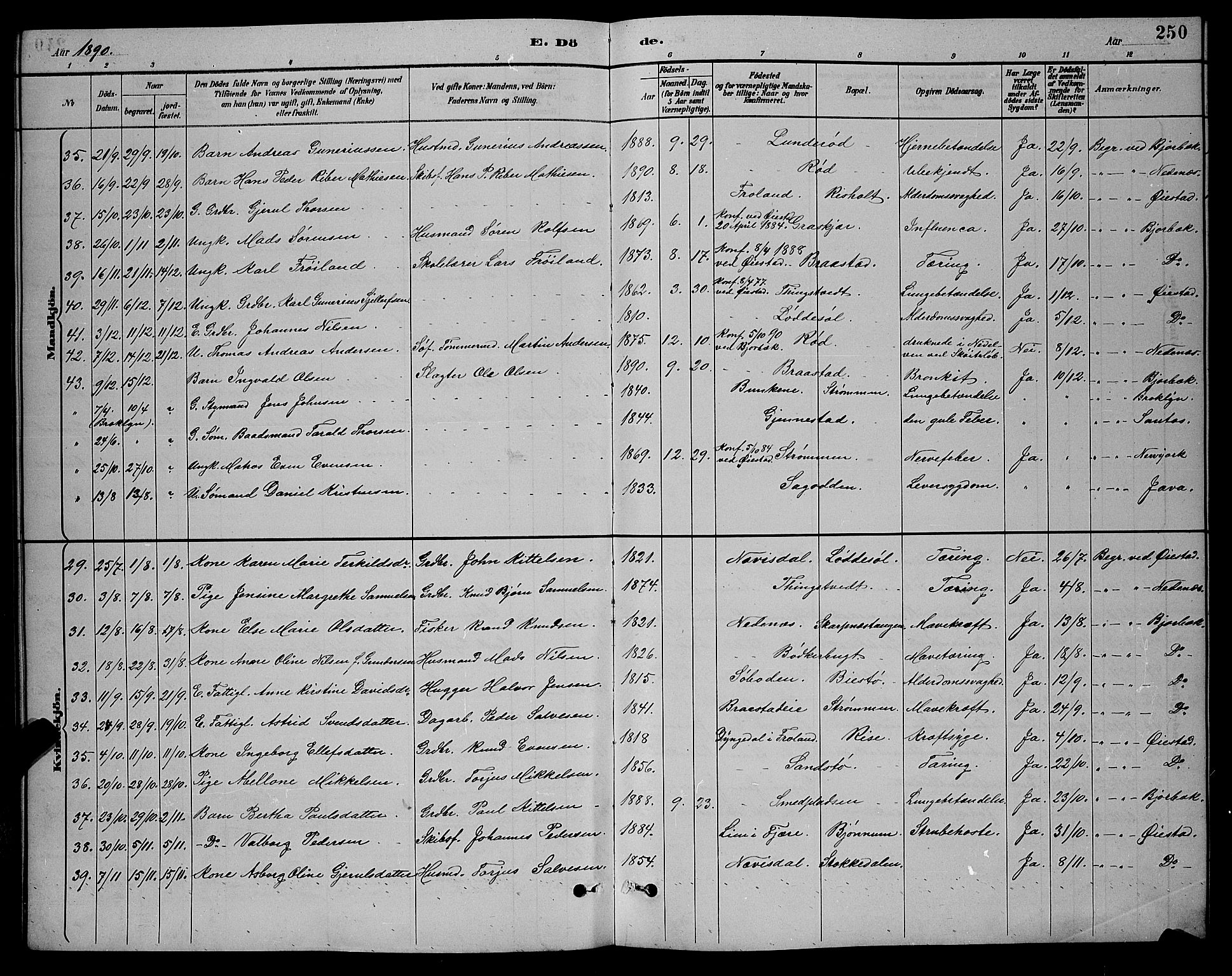 Øyestad sokneprestkontor, AV/SAK-1111-0049/F/Fb/L0009: Klokkerbok nr. B 9, 1886-1896, s. 250
