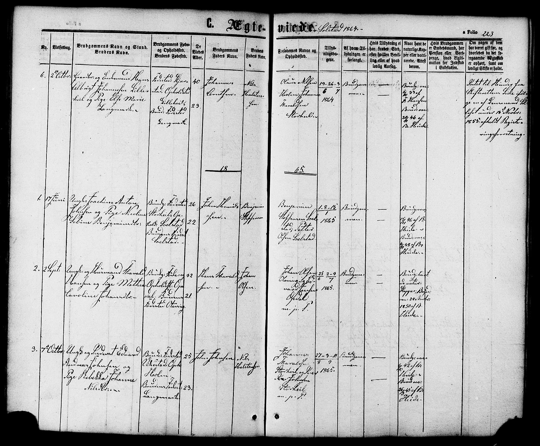 Ministerialprotokoller, klokkerbøker og fødselsregistre - Nordland, AV/SAT-A-1459/810/L0147: Ministerialbok nr. 810A08 /2, 1862-1874, s. 223