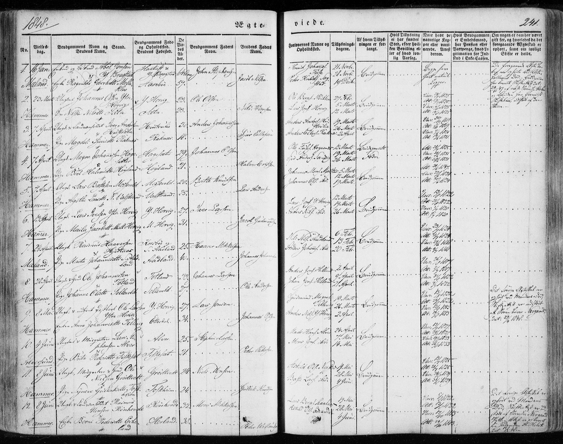 Hamre sokneprestembete, SAB/A-75501/H/Ha/Haa/Haaa/L0013: Ministerialbok nr. A 13, 1846-1857, s. 241