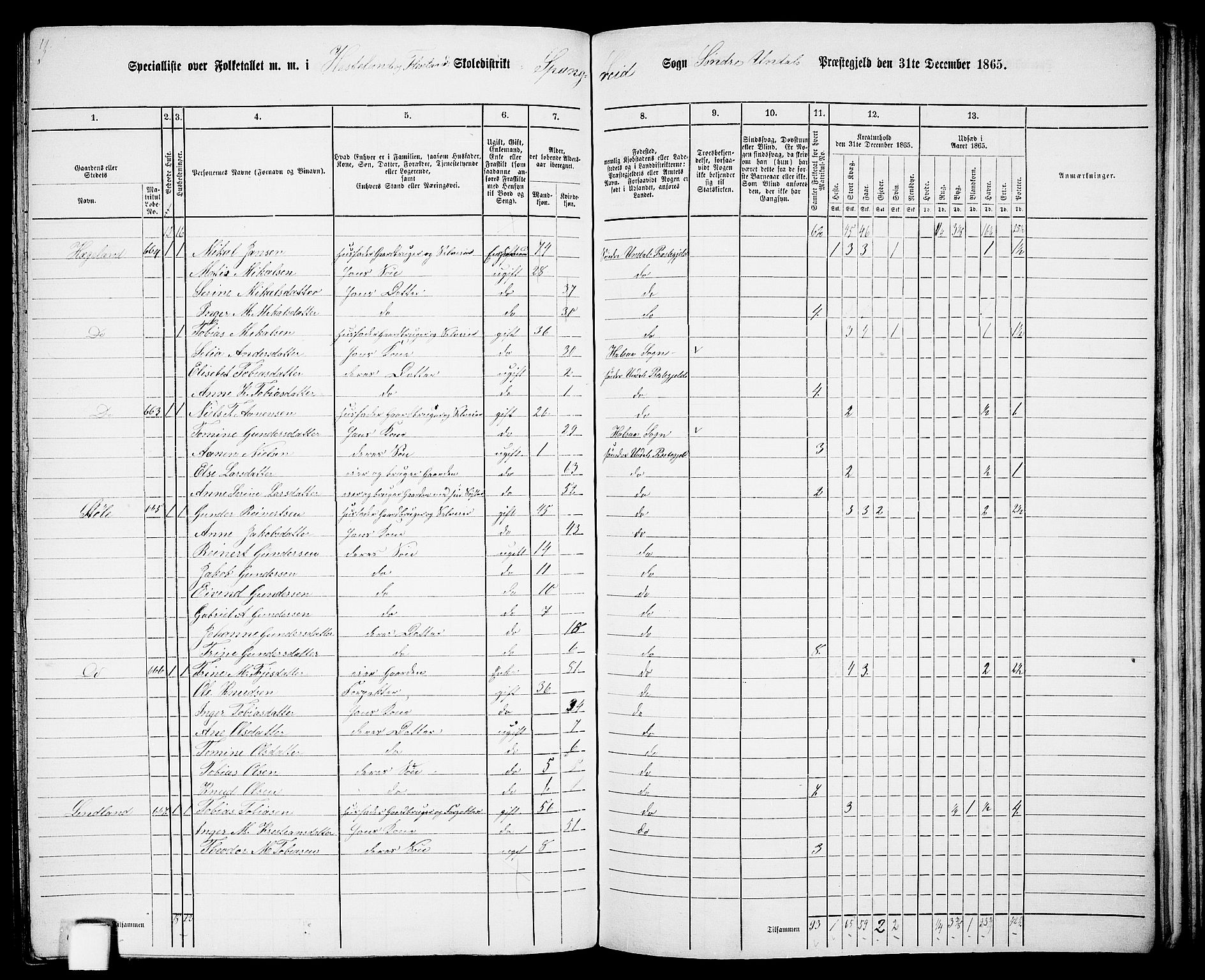 RA, Folketelling 1865 for 1029P Sør-Audnedal prestegjeld, 1865, s. 153