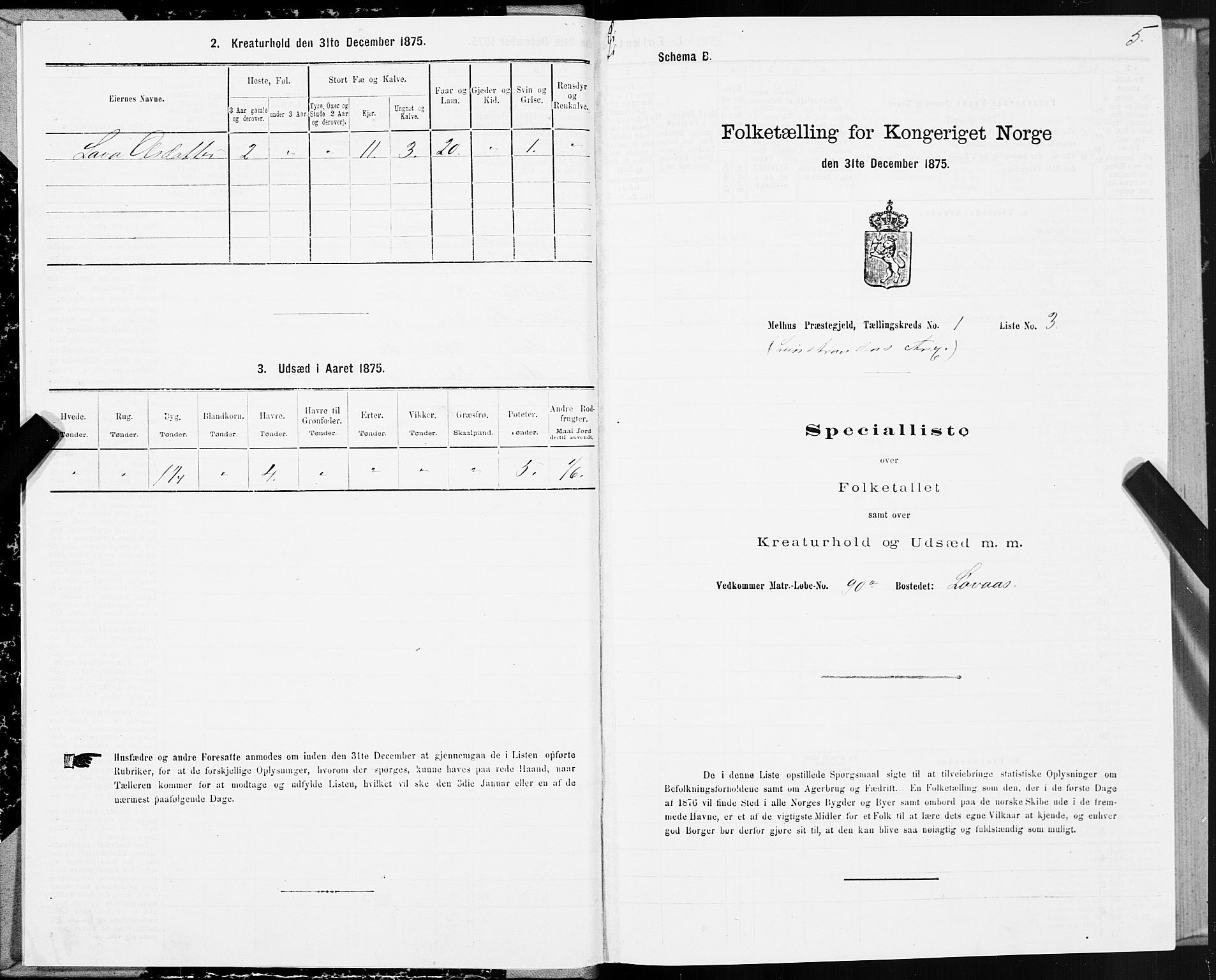 SAT, Folketelling 1875 for 1653P Melhus prestegjeld, 1875, s. 8005