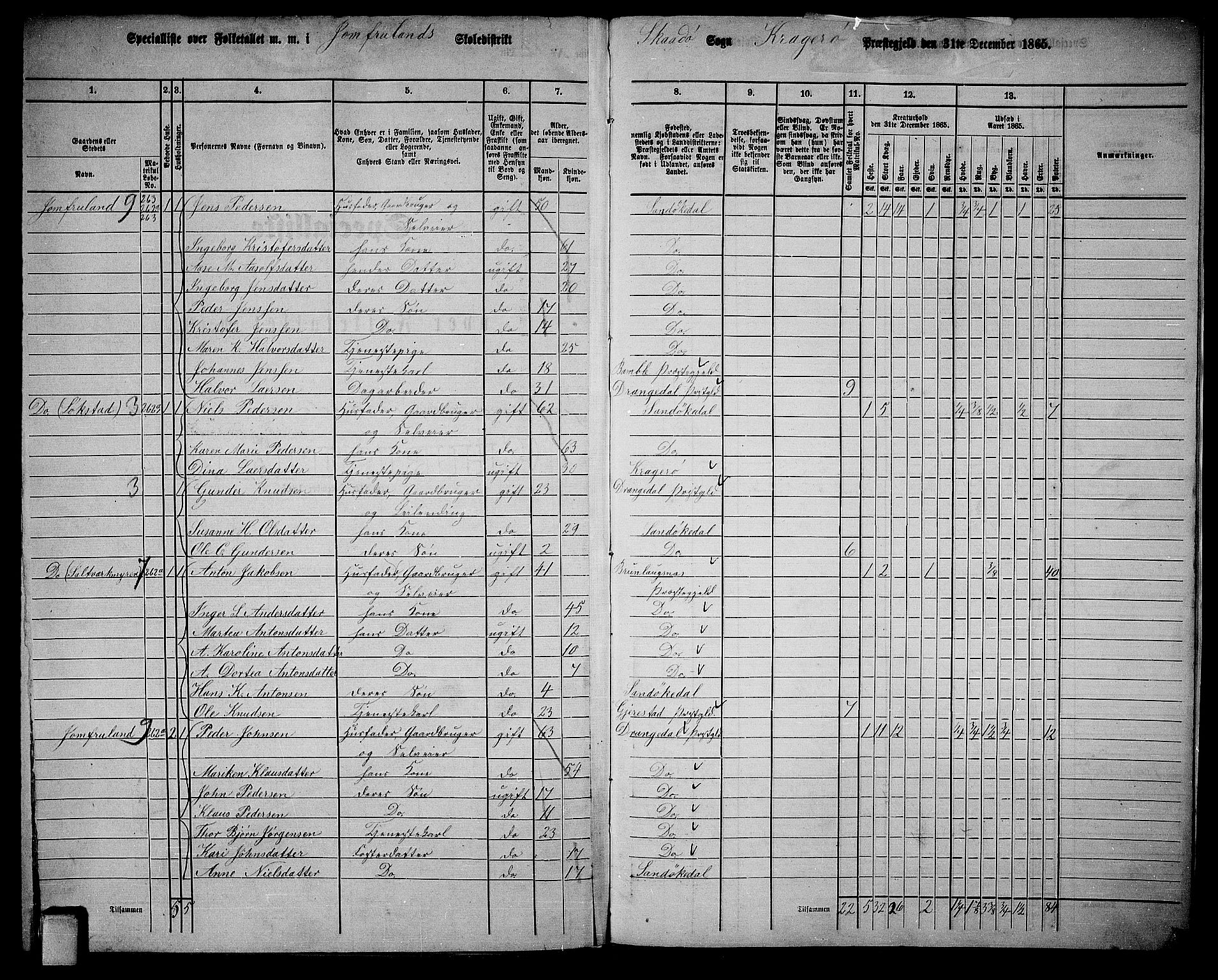 RA, Folketelling 1865 for 0816L Kragerø prestegjeld, Sannidal sokn og Skåtøy sokn, 1865, s. 211