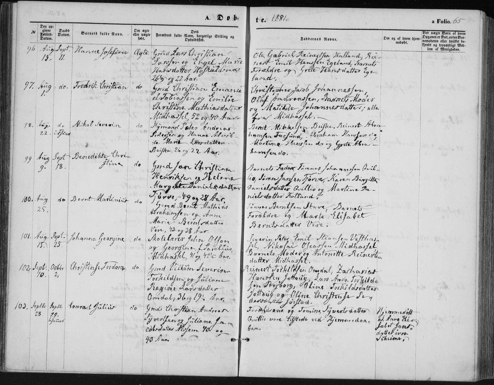 Lista sokneprestkontor, AV/SAK-1111-0027/F/Fb/L0004: Klokkerbok nr. B 4, 1877-1891, s. 65