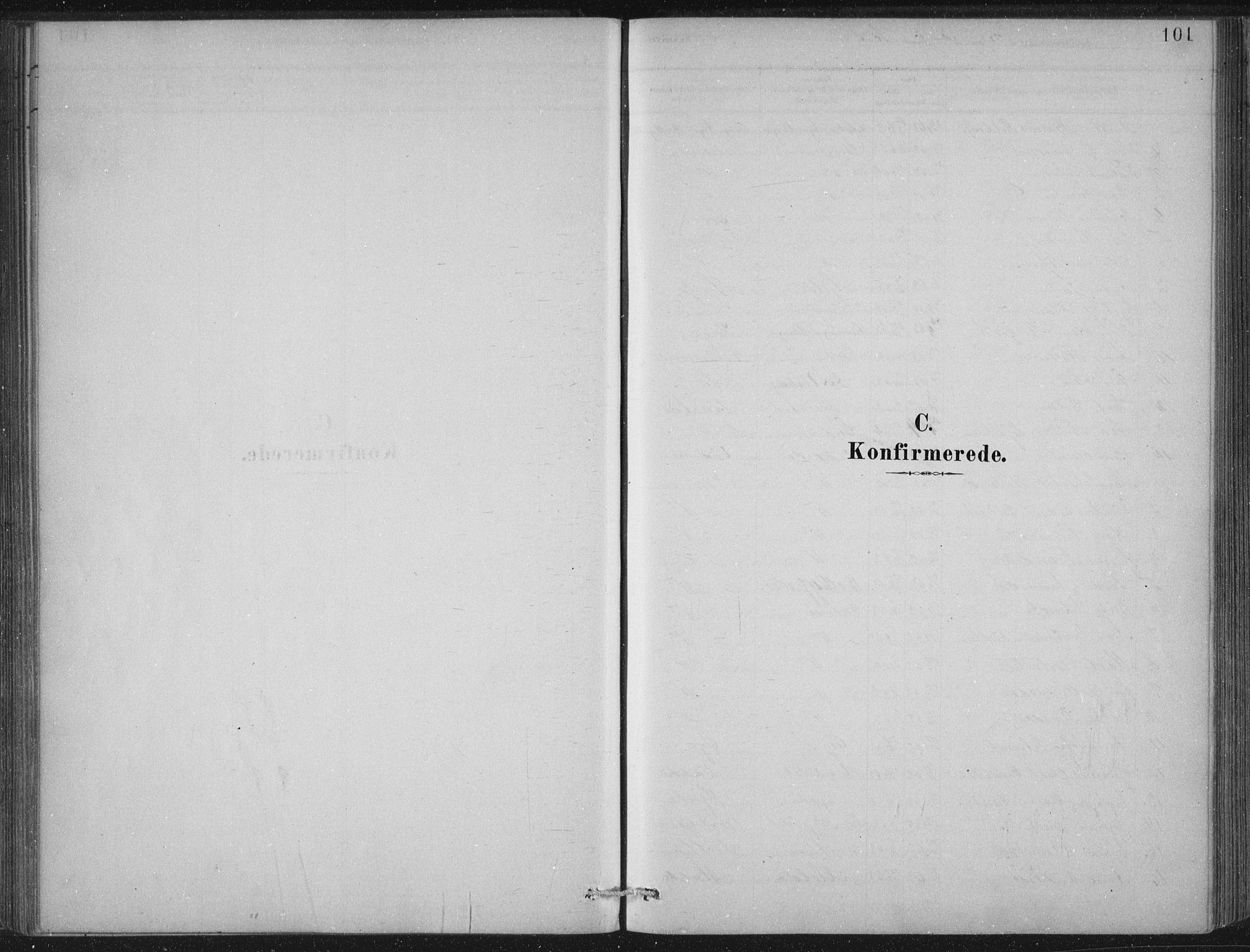 Lærdal sokneprestembete, SAB/A-81201: Ministerialbok nr. D  1, 1878-1908, s. 101