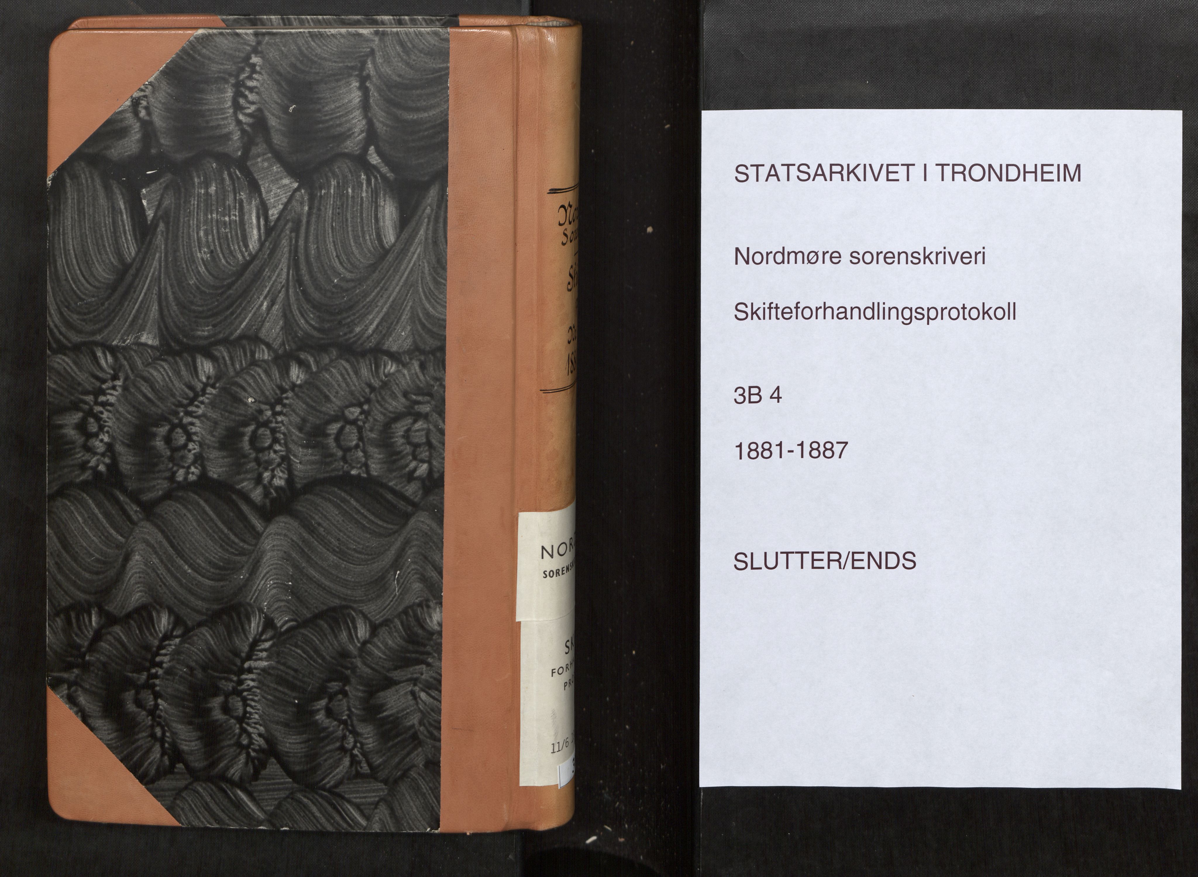 Nordmøre sorenskriveri, SAT/A-4132/1/3/3B/L0004: Forhandlingsprotokoll nr. 04, 1881-1887