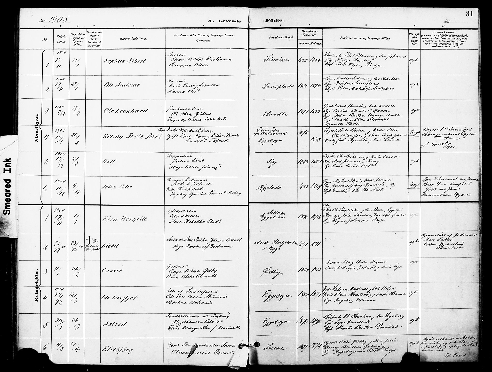 Ministerialprotokoller, klokkerbøker og fødselsregistre - Nord-Trøndelag, AV/SAT-A-1458/740/L0379: Ministerialbok nr. 740A02, 1895-1907, s. 31