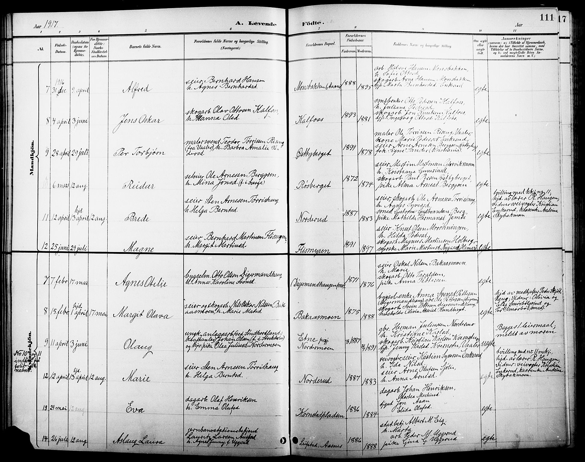Åsnes prestekontor, AV/SAH-PREST-042/H/Ha/Hab/L0005: Klokkerbok nr. 5, 1895-1920, s. 111