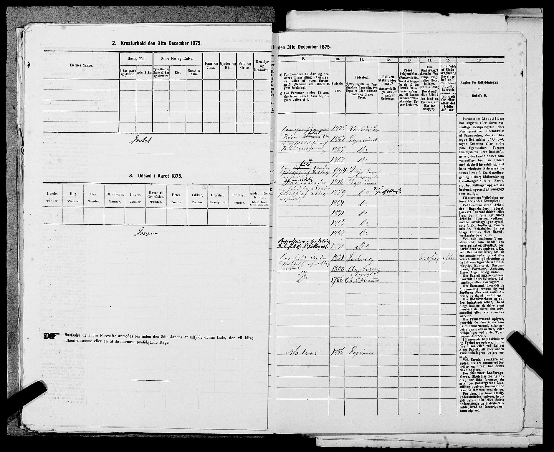 SAST, Folketelling 1875 for 1101B Eigersund prestegjeld, Egersund ladested, 1875, s. 197