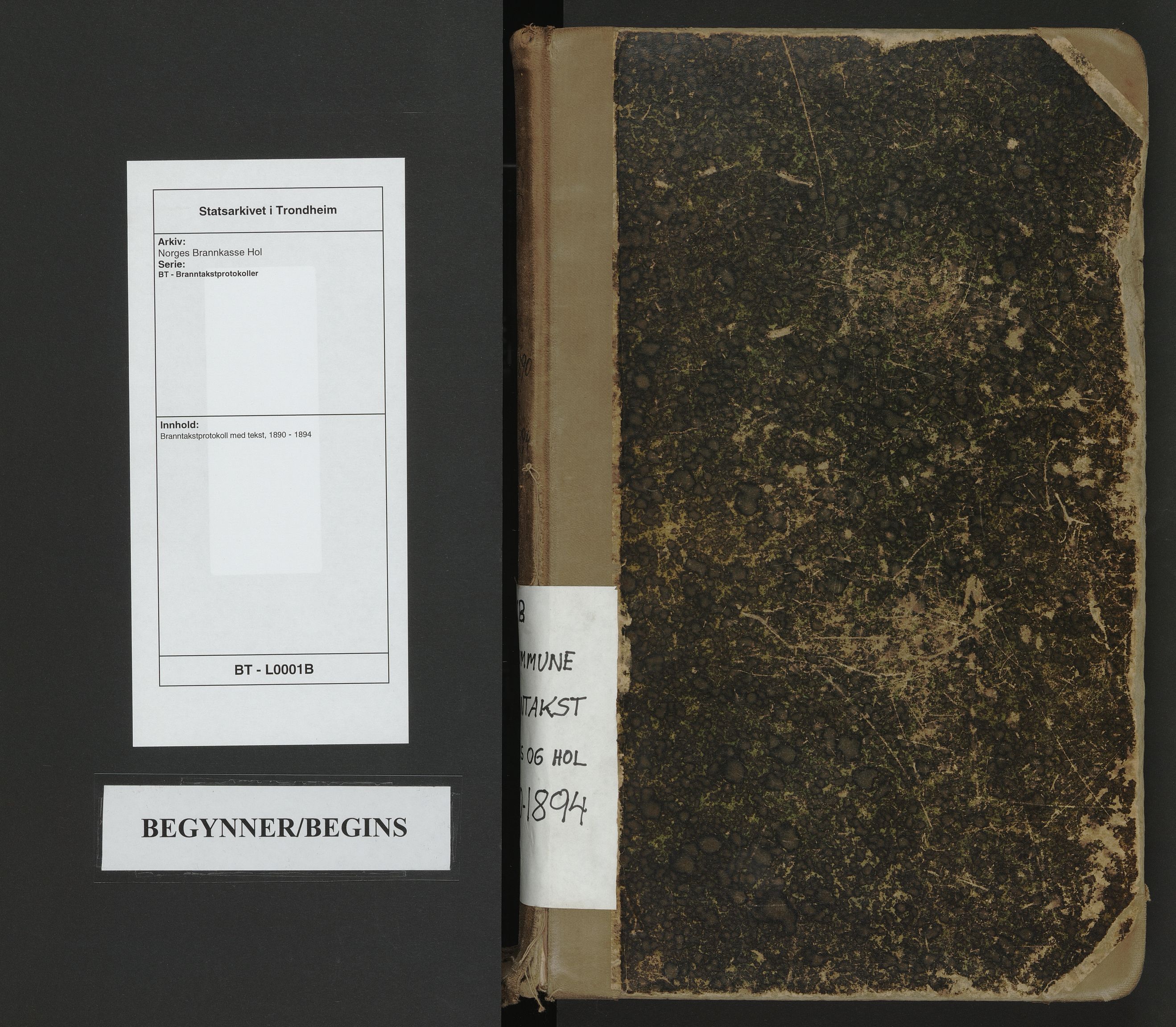 Norges Brannkasse Hol, SAT/A-5601/BT/L0001B: Branntakstprotokoll med tekst, 1890-1894