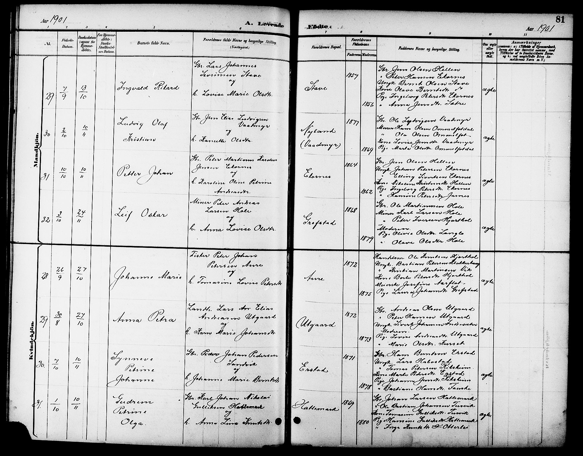 Ministerialprotokoller, klokkerbøker og fødselsregistre - Møre og Romsdal, SAT/A-1454/523/L0340: Klokkerbok nr. 523C03, 1892-1902, s. 81