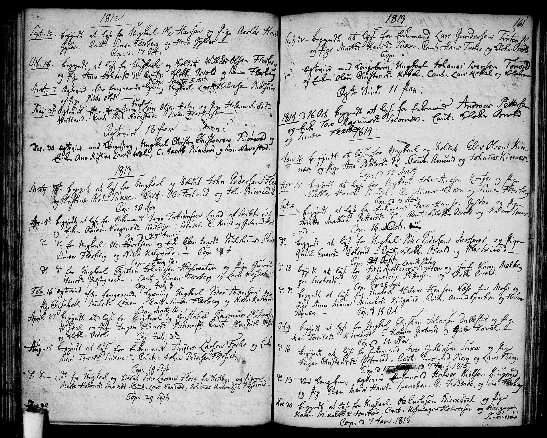 Våler prestekontor Kirkebøker, AV/SAO-A-11083/F/Fa/L0004: Ministerialbok nr. I 4, 1771-1815, s. 161