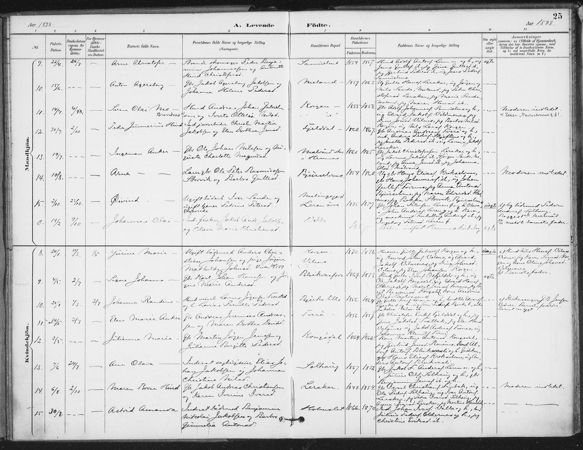 Ministerialprotokoller, klokkerbøker og fødselsregistre - Nordland, SAT/A-1459/826/L0380: Ministerialbok nr. 826A03, 1891-1911, s. 25