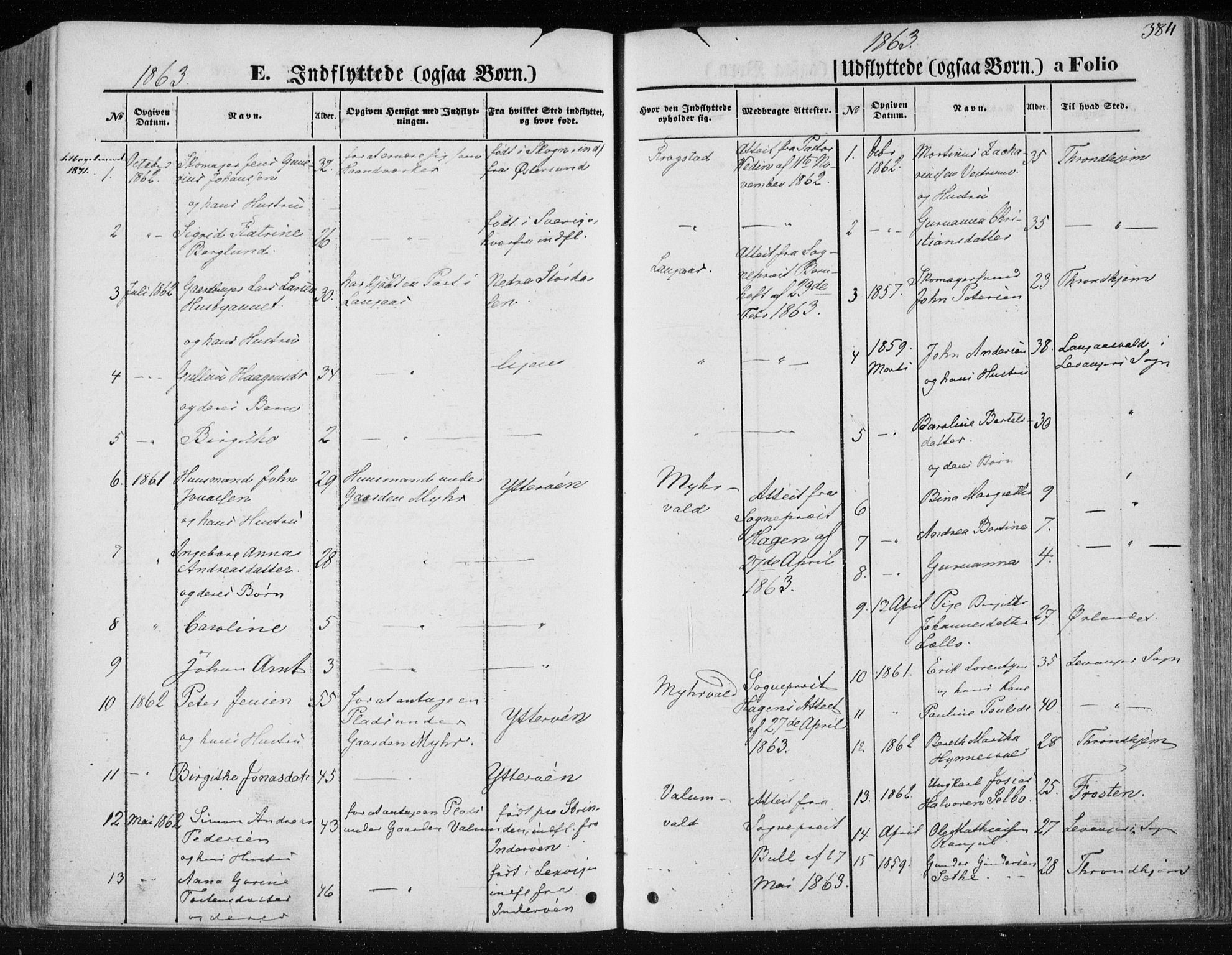 Ministerialprotokoller, klokkerbøker og fødselsregistre - Nord-Trøndelag, AV/SAT-A-1458/717/L0157: Ministerialbok nr. 717A08 /1, 1863-1877, s. 384