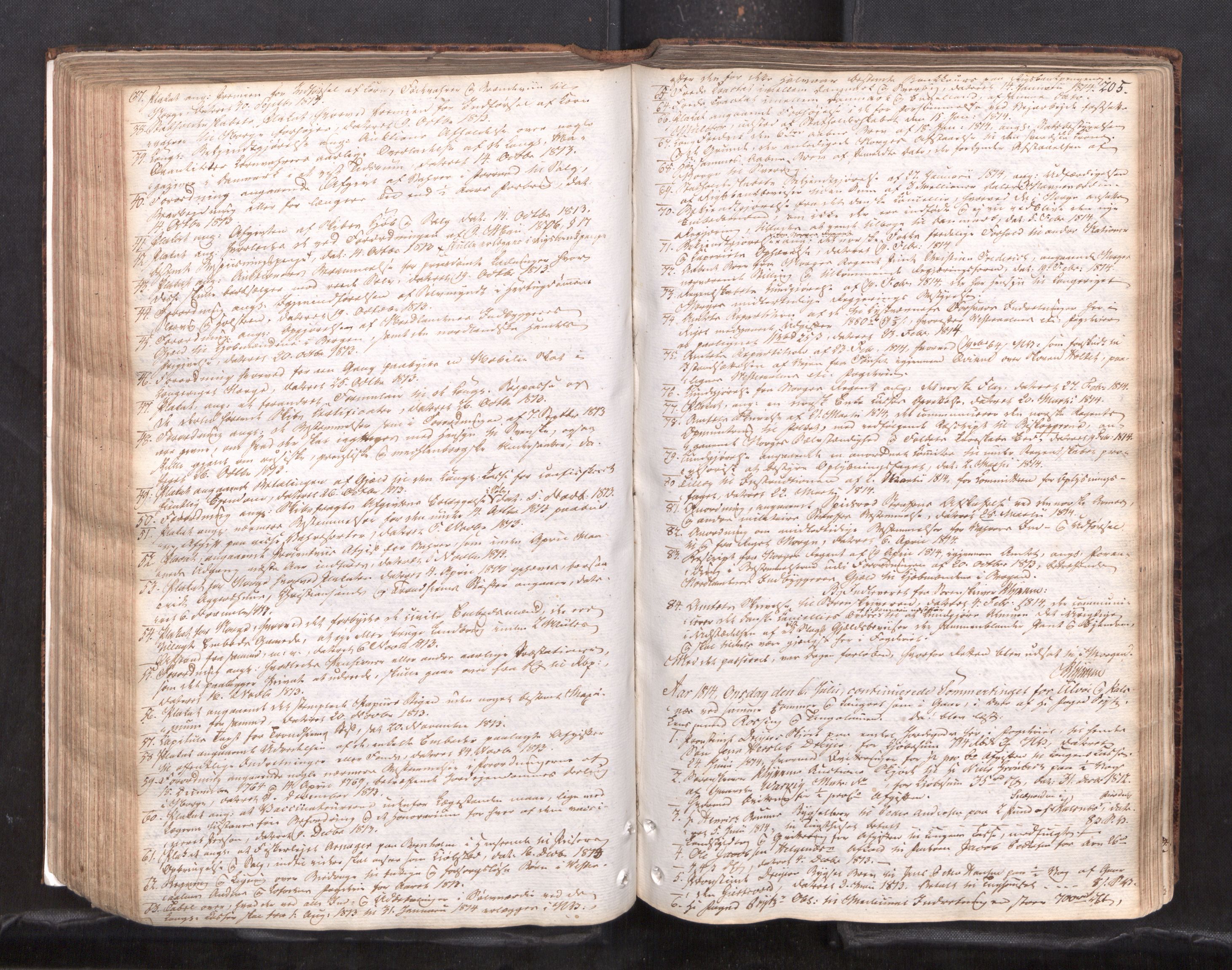 Vesterålen sorenskriveri, AV/SAT-A-4180/1/1/1A/L0017: Tingbok, 1810-1820, s. 204b-205a