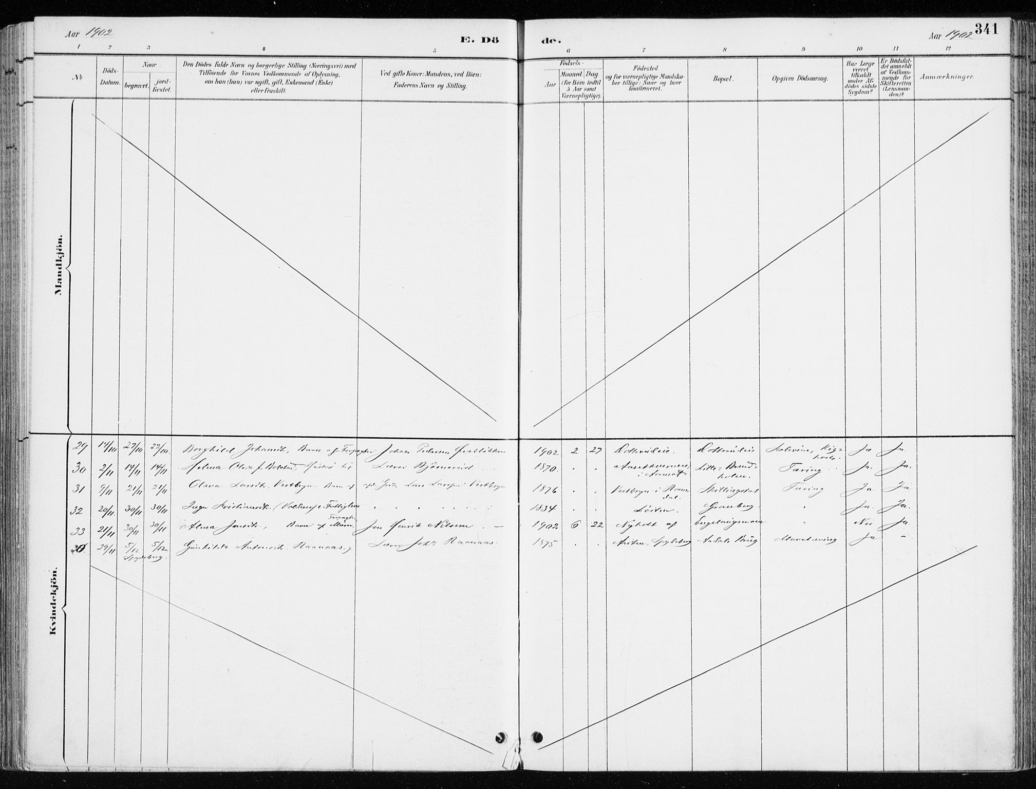 Løten prestekontor, AV/SAH-PREST-022/K/Ka/L0010: Ministerialbok nr. 10, 1892-1907, s. 341