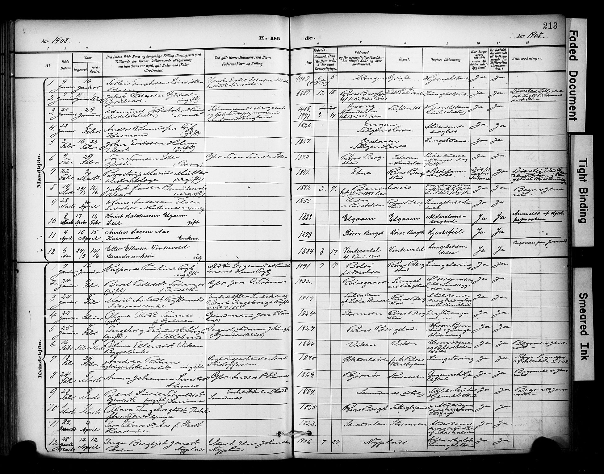 Ministerialprotokoller, klokkerbøker og fødselsregistre - Sør-Trøndelag, SAT/A-1456/681/L0936: Ministerialbok nr. 681A14, 1899-1908, s. 213
