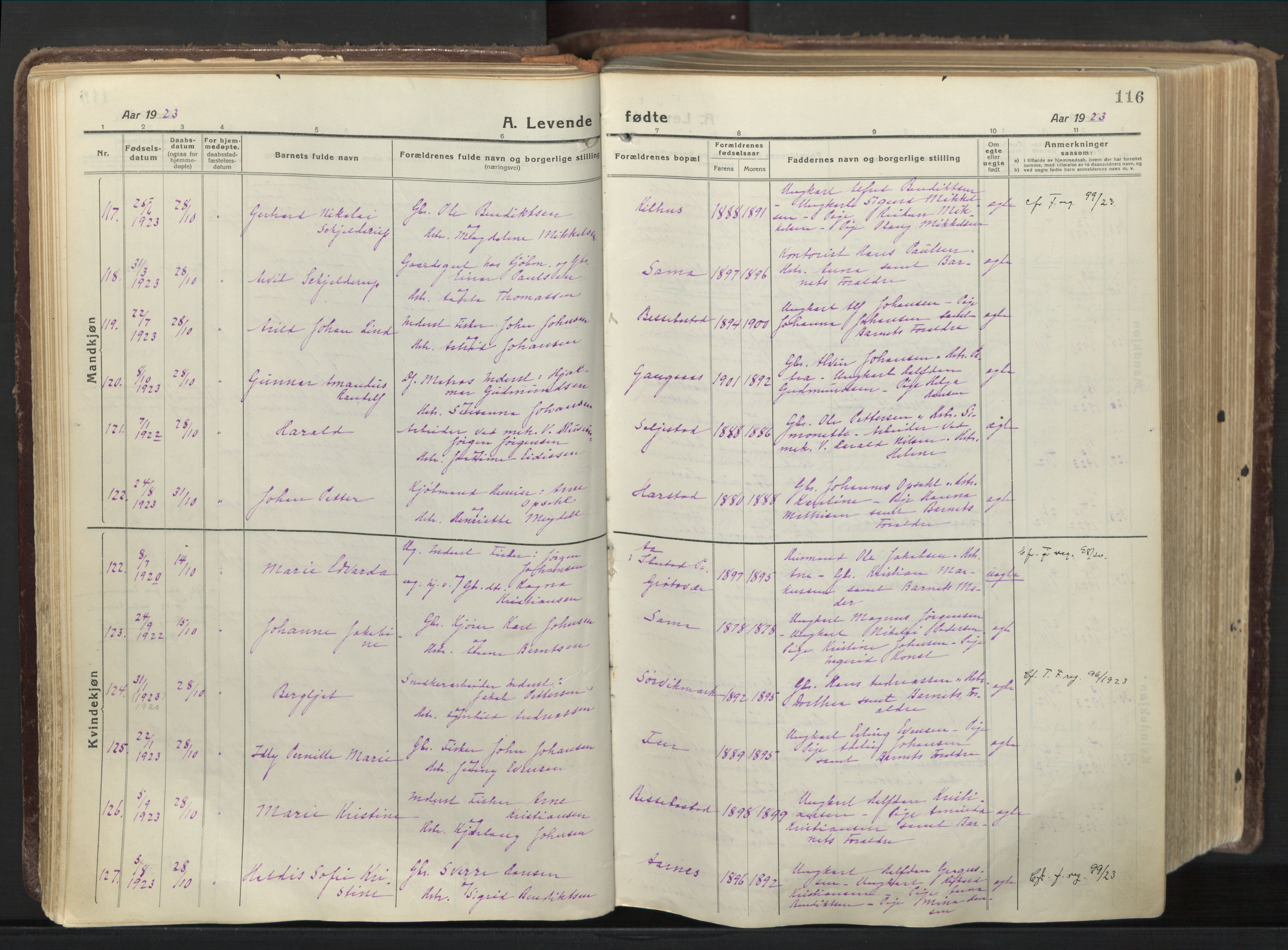 Trondenes sokneprestkontor, AV/SATØ-S-1319/H/Ha/L0019kirke: Ministerialbok nr. 19, 1919-1928, s. 116