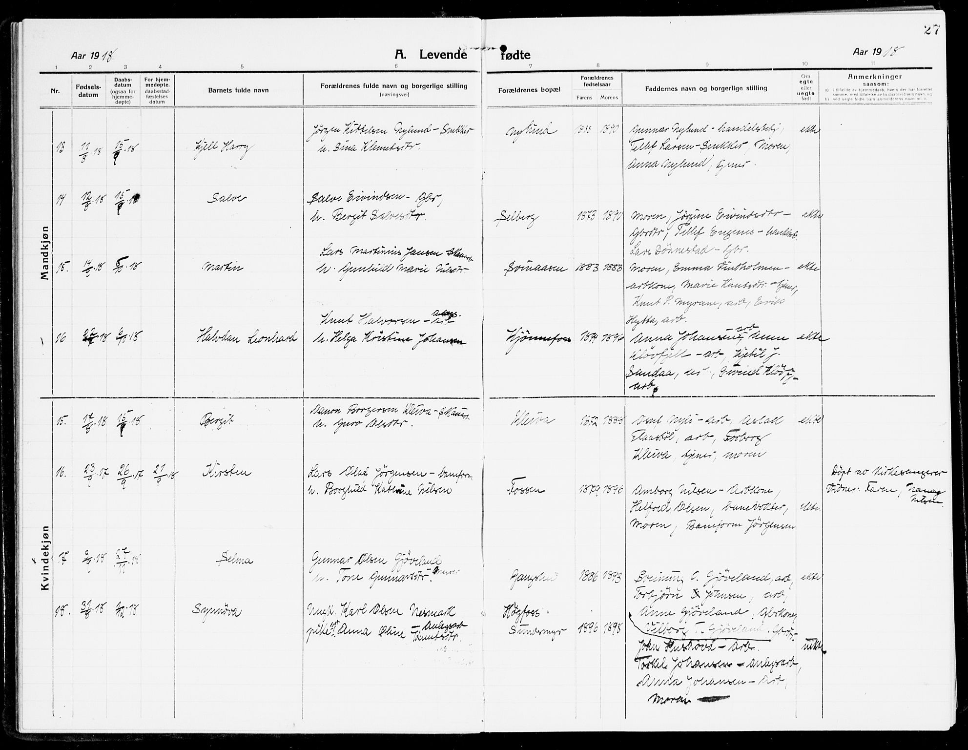 Åmli sokneprestkontor, AV/SAK-1111-0050/F/Fa/Fac/L0013: Ministerialbok nr. A 13, 1914-1933, s. 27